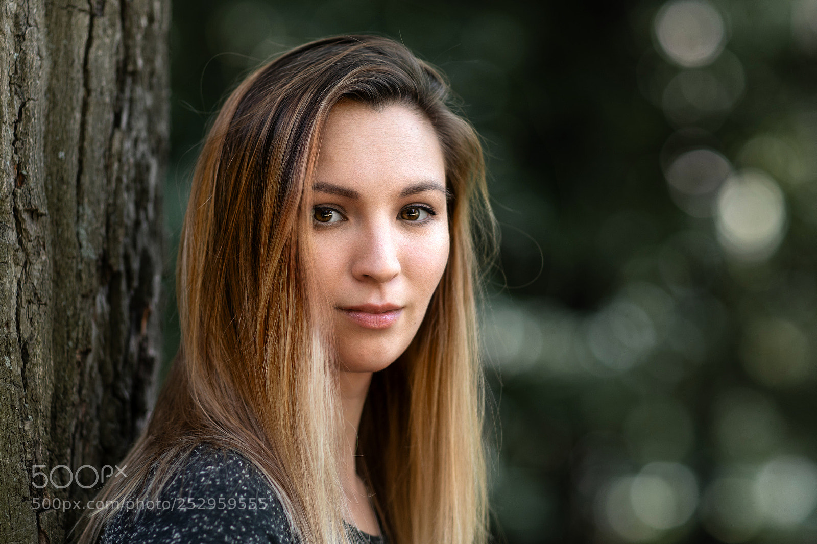 Canon EOS 5D Mark IV sample photo. Luxe photography