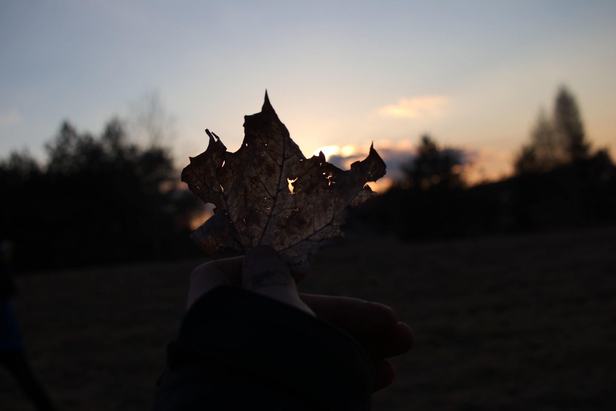 Canon EF-S 24mm F2.8 STM sample photo