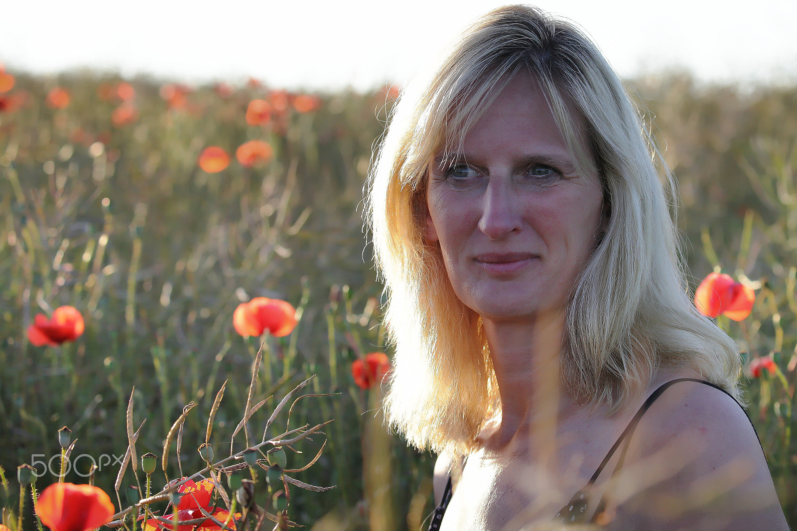 Canon EF 70-300mm F4-5.6L IS USM sample photo. Beauty in the middle of red poppies photography