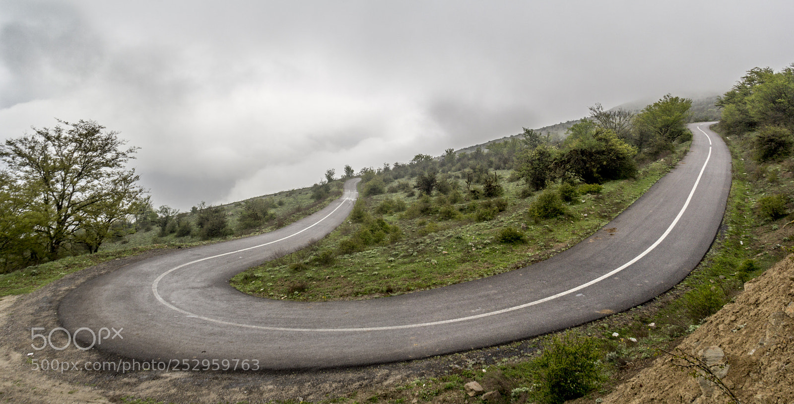 Canon EOS 60D sample photo. Alimestan jungles photography