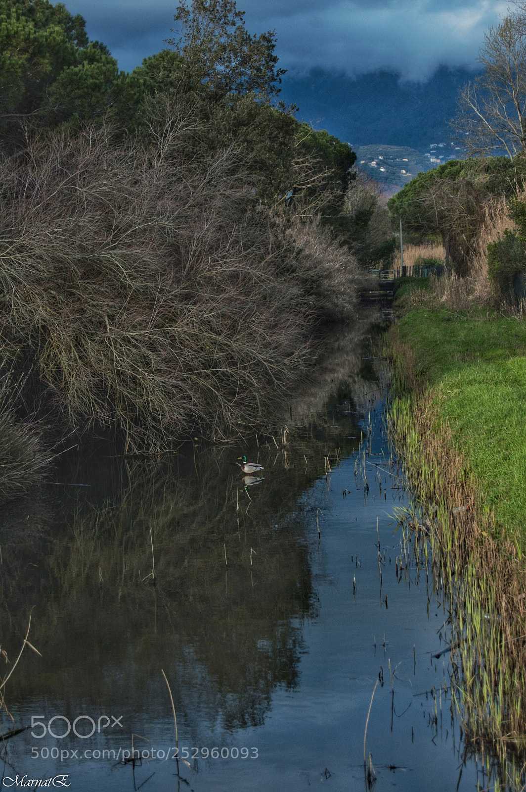 Nikon D50 sample photo. Piccola oasi. photography
