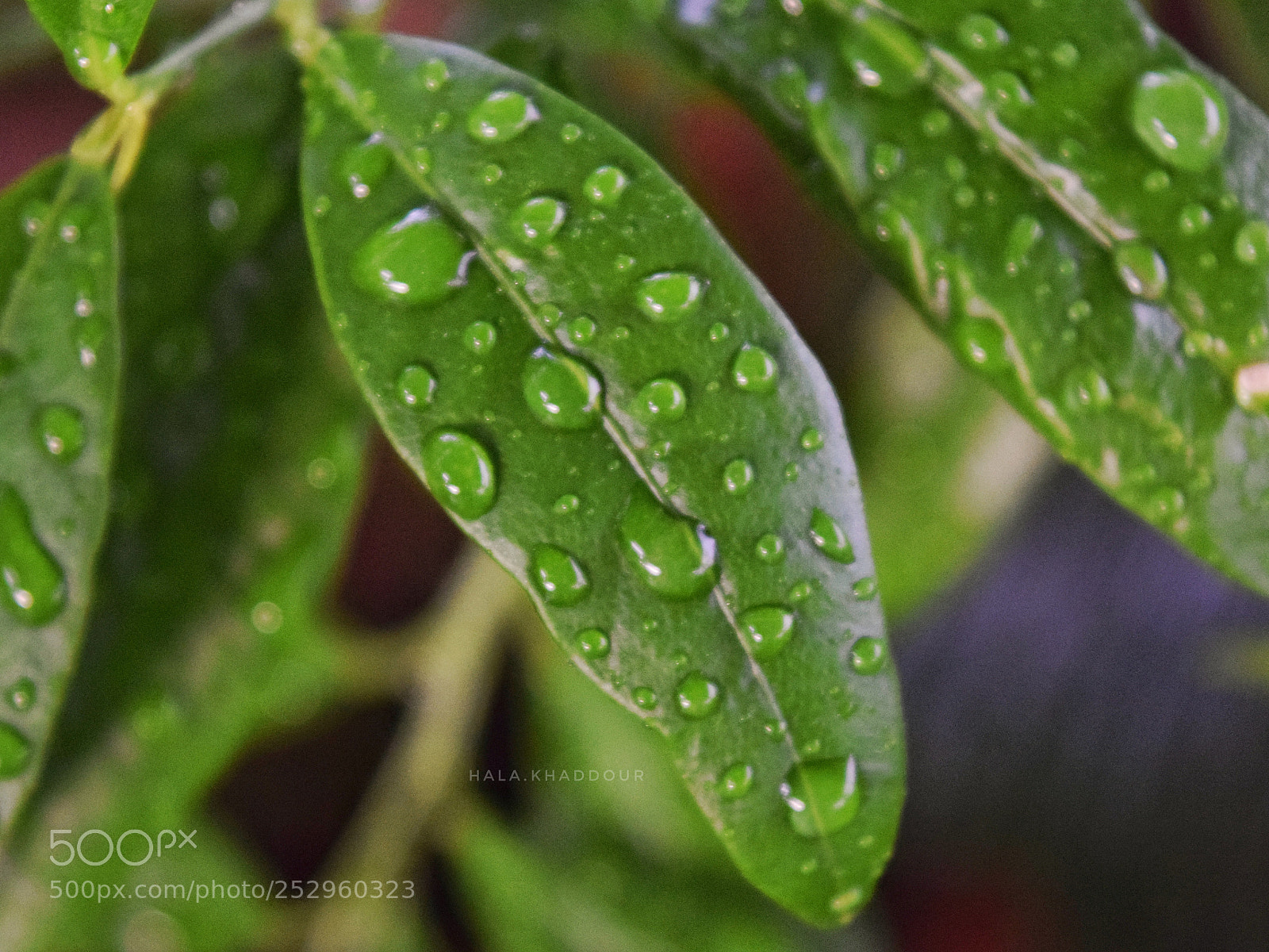 Nikon D5300 sample photo. Untitled photography