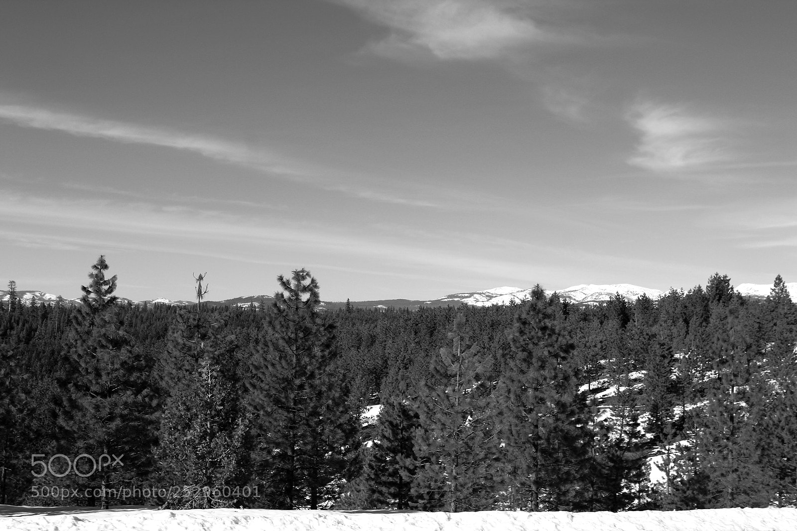 Canon EOS 1300D (EOS Rebel T6 / EOS Kiss X80) sample photo. View from the road photography