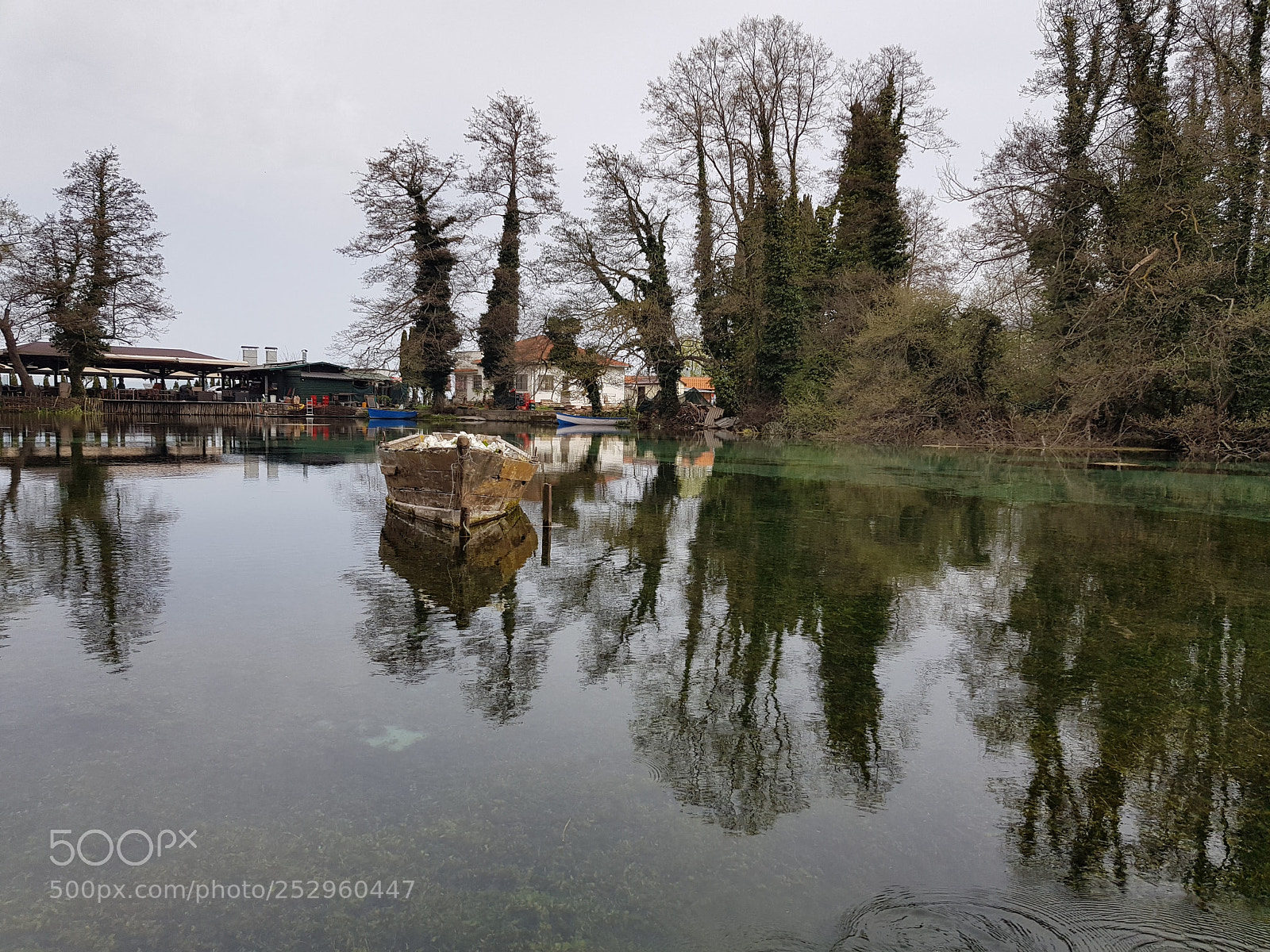 Samsung Galaxy S8 sample photo. Pond photography