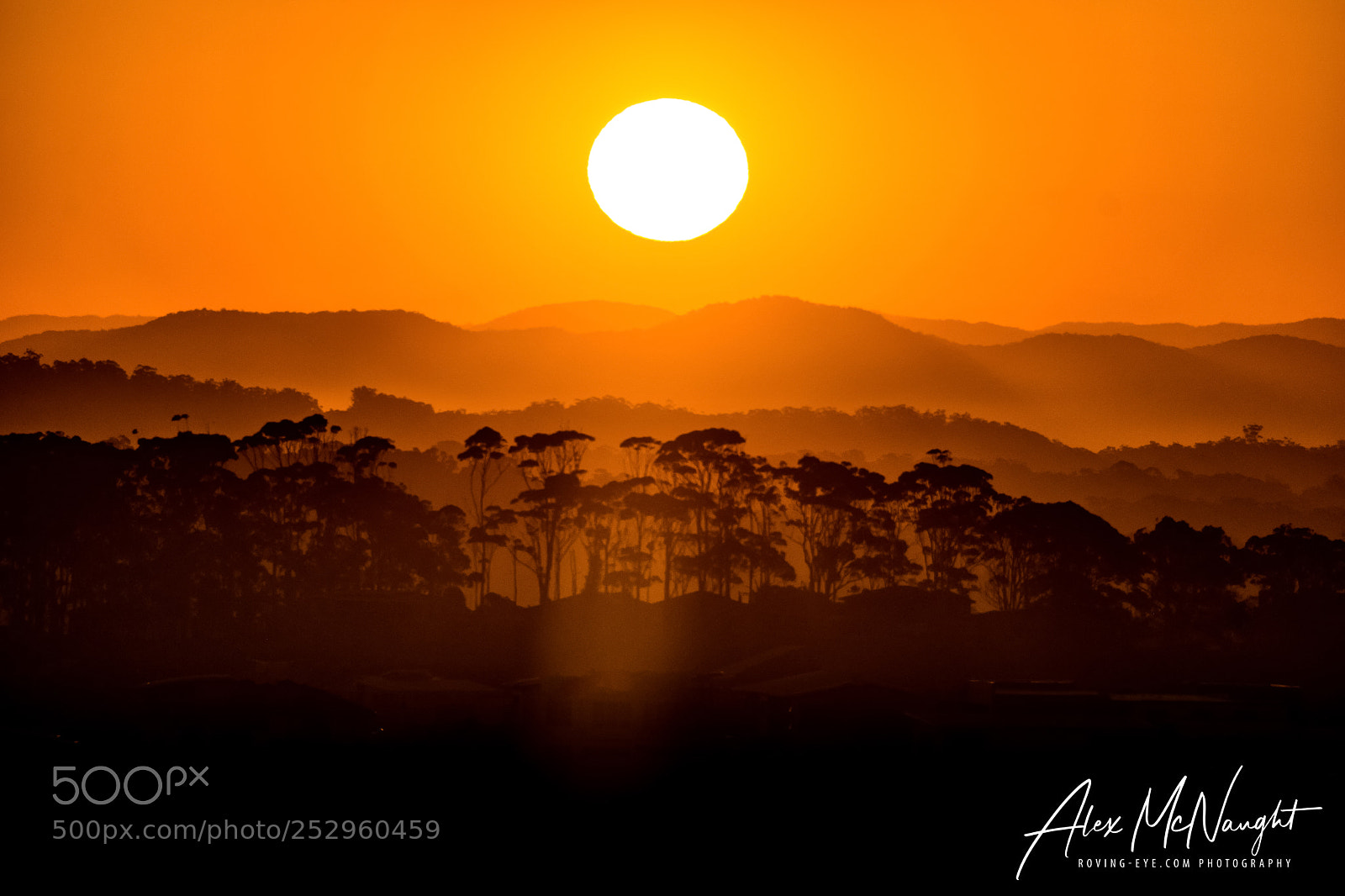 Nikon D3300 sample photo. Sunset trees photography