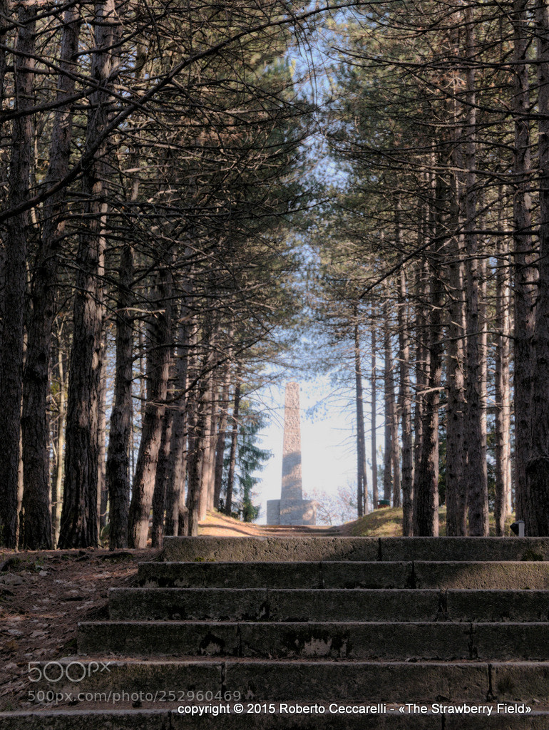 Panasonic Lumix DMC-LX100 sample photo. Monte carpegna - la photography
