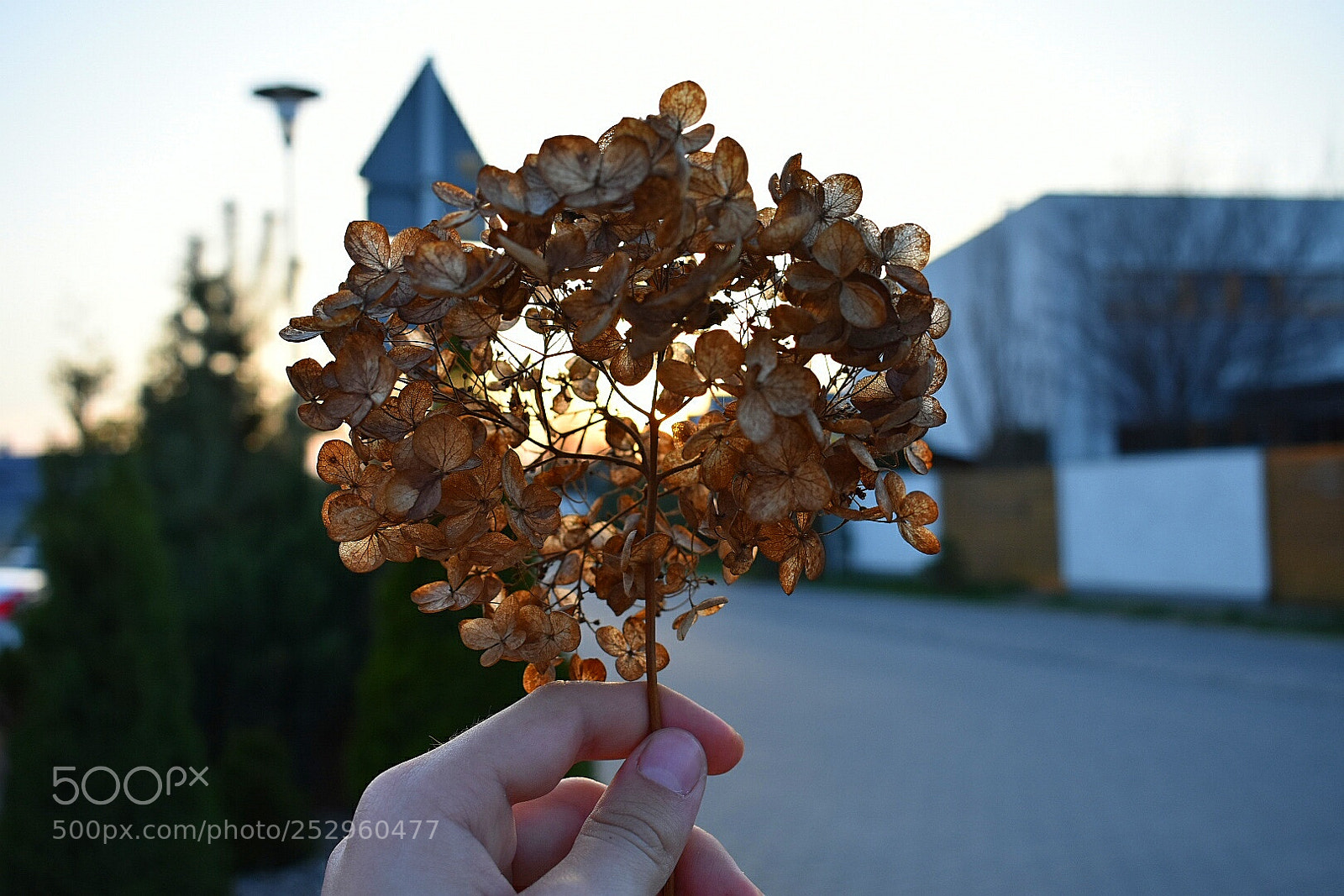 Nikon D3400 sample photo. Untitled photography