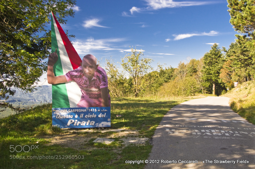 Pentax K-x sample photo. Monte carpegna - la photography