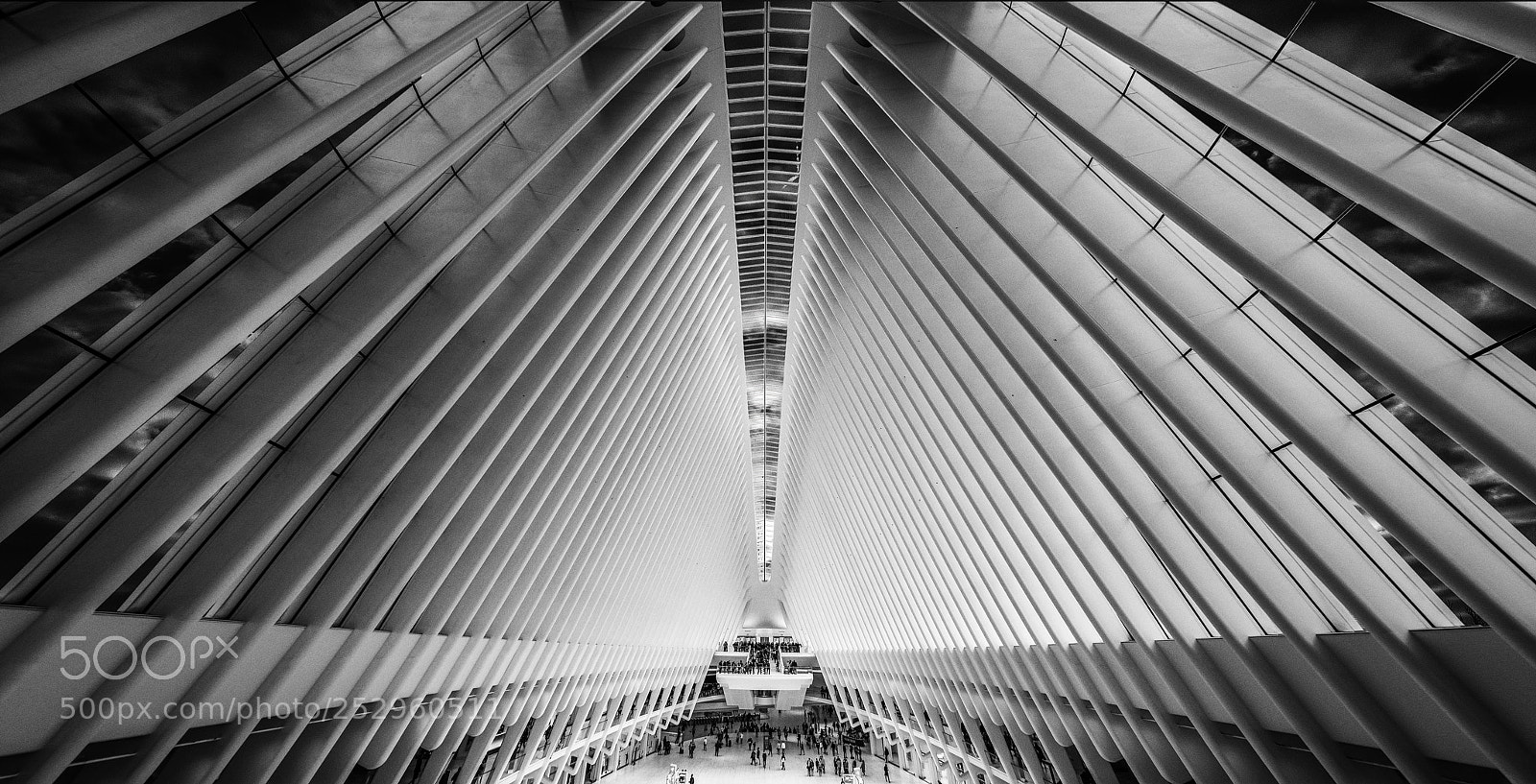 Canon EOS 5DS R sample photo. Oculus photography