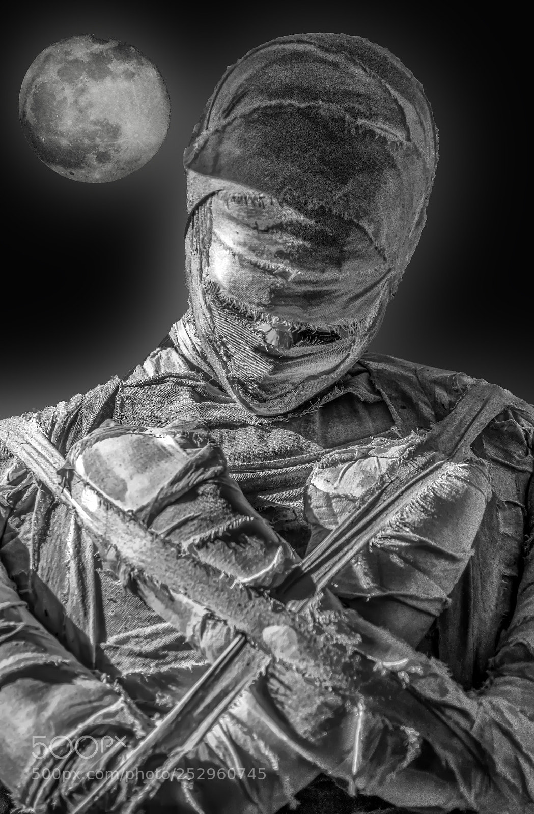 Canon EOS 5DS sample photo. By the light of photography