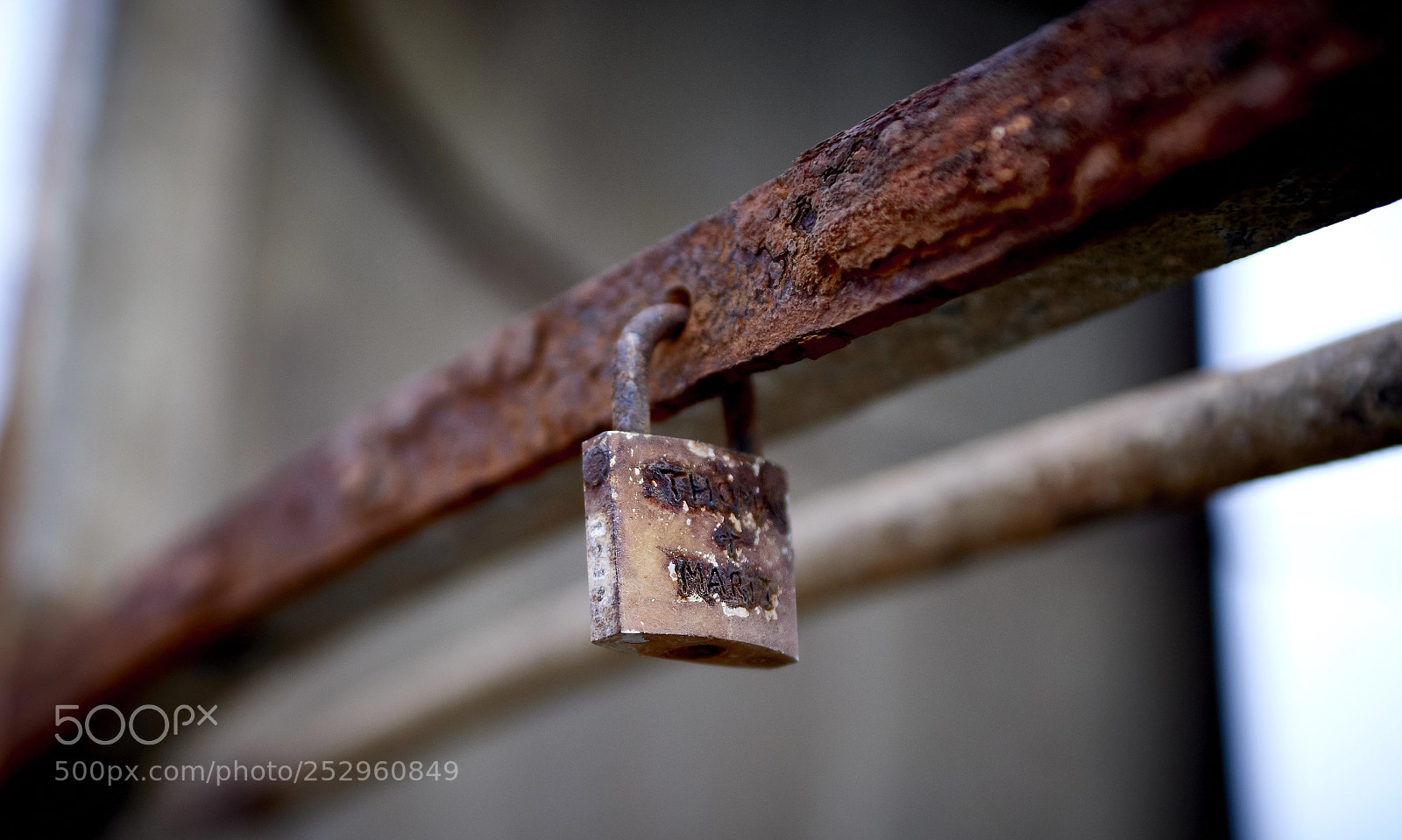 Nikon D800 sample photo. Old love doesn't rust photography