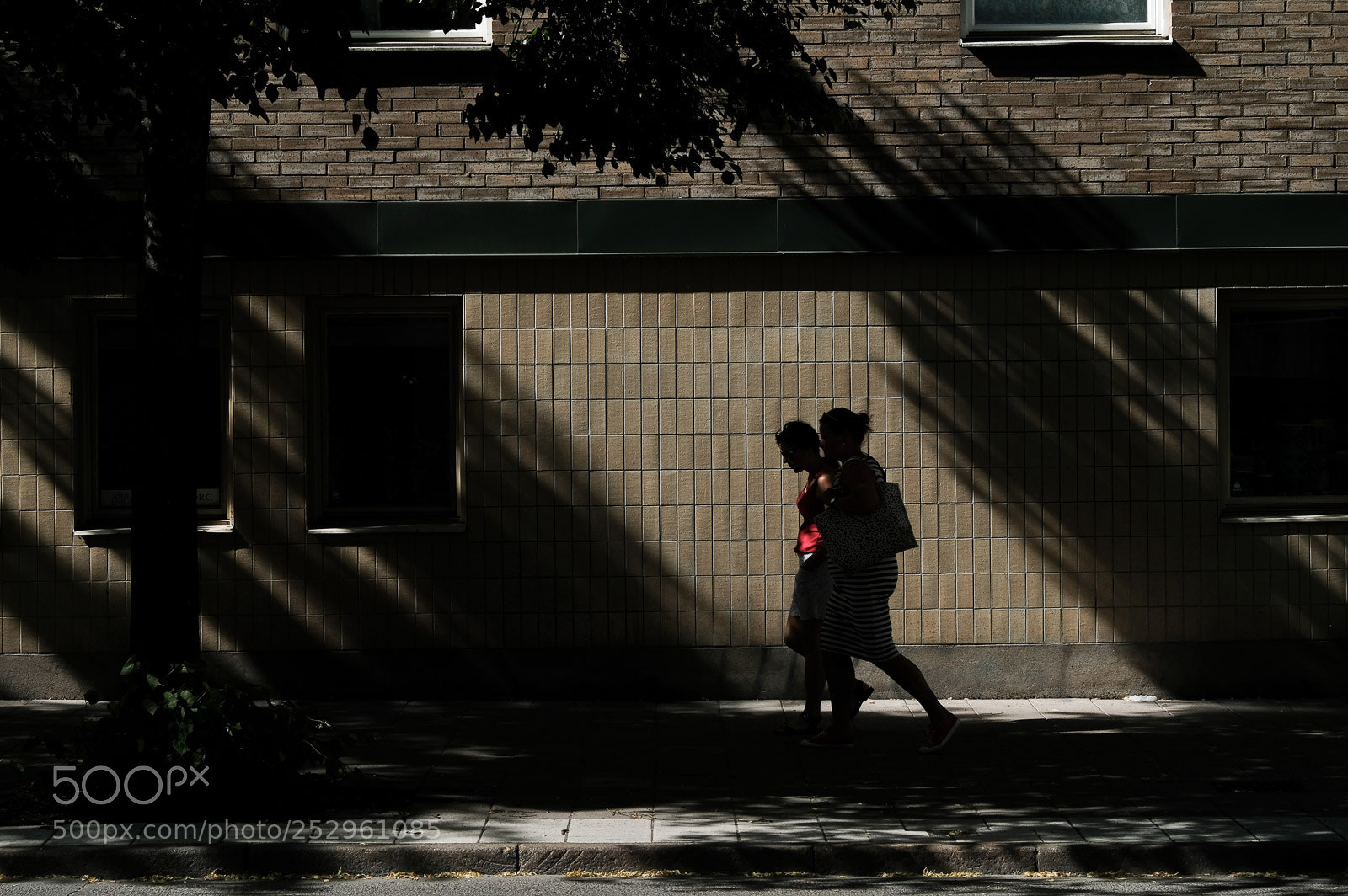 Fujifilm X-Pro2 sample photo. Scarlet photography