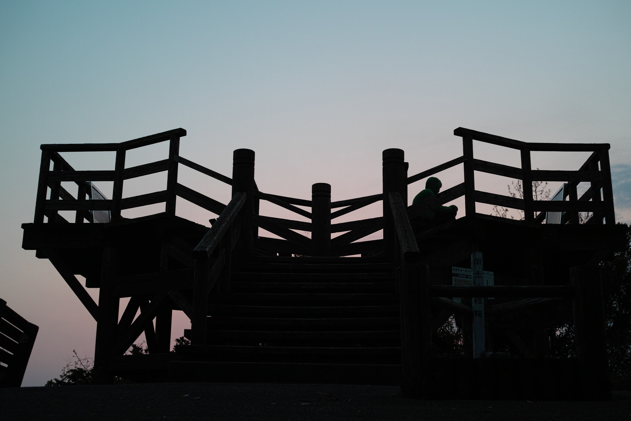 Sigma DP2 Merrill sample photo. 1/21 photography