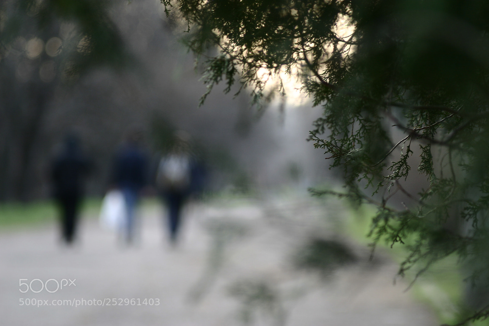 Canon EOS 10D sample photo. Untitled photography