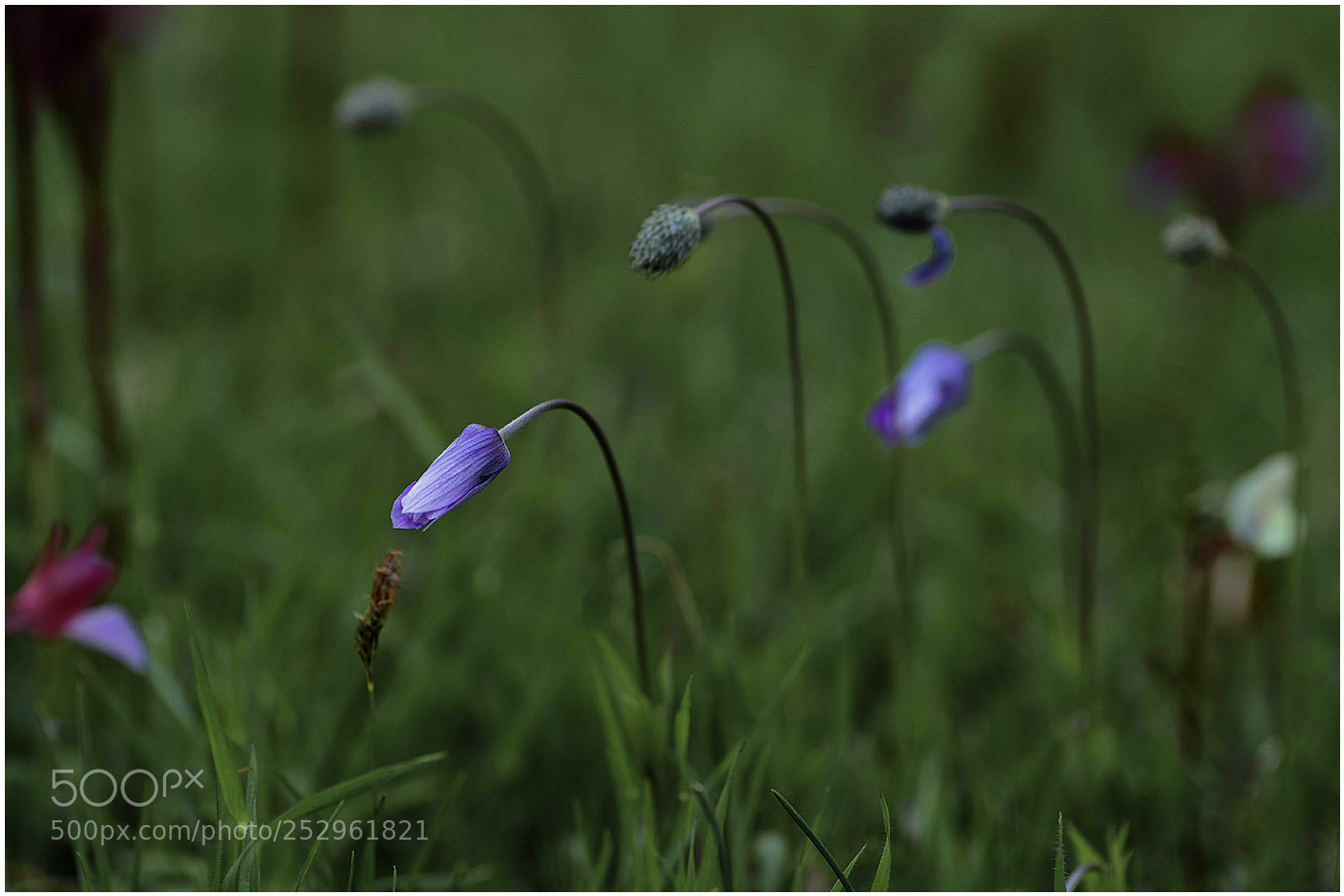 Nikon D600 sample photo. Travke photography