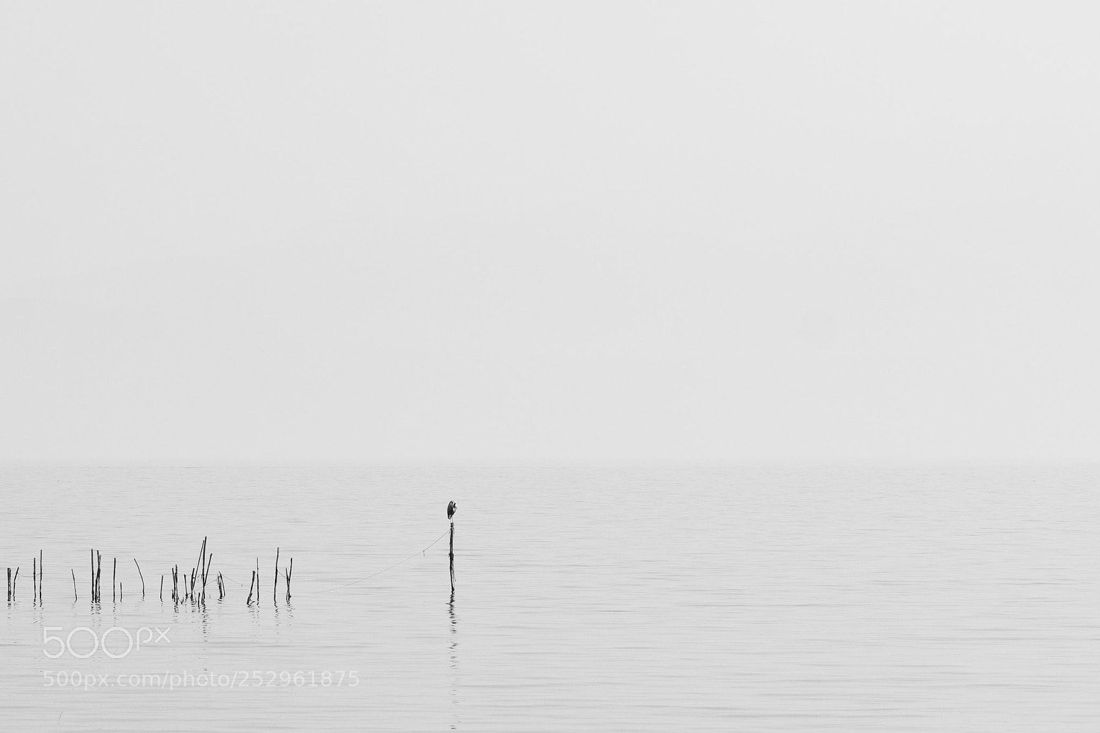 Fujifilm X-T2 sample photo. Tranquility photography