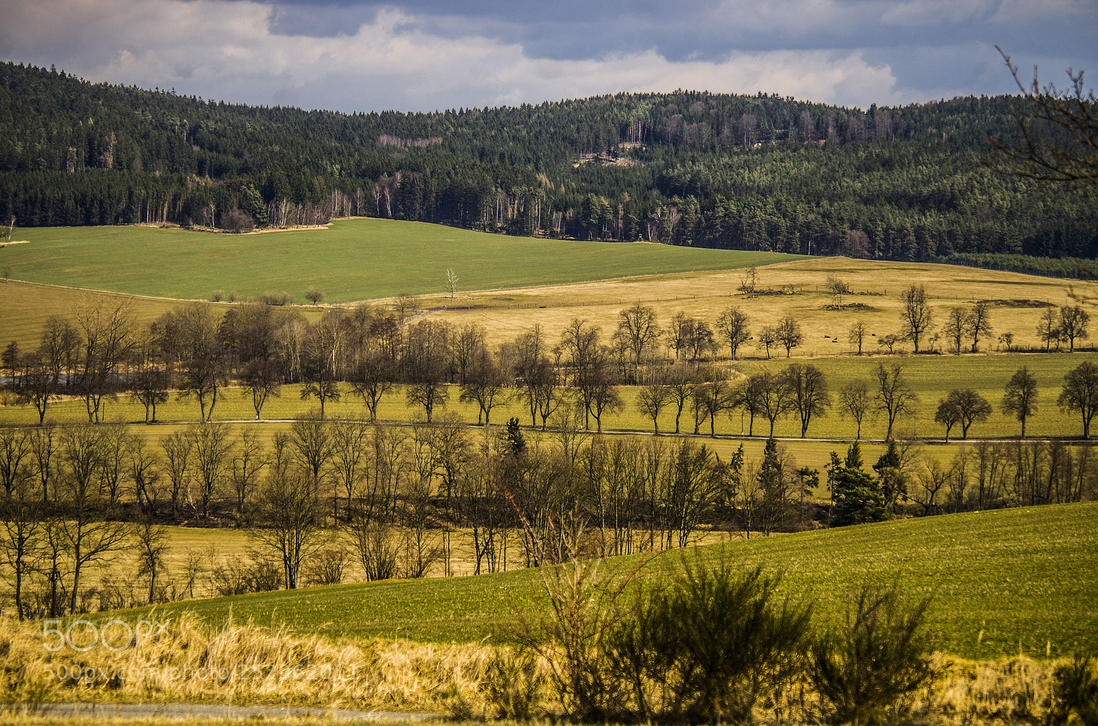 Pentax K-5 sample photo. Czech spring photography