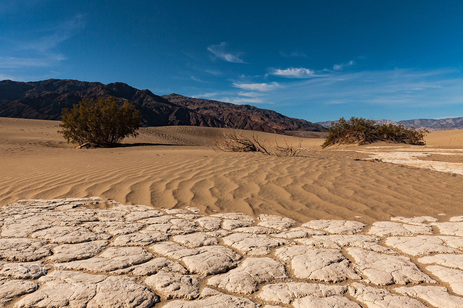Canon EOS 5D Mark II sample photo. Mesquite flat 1 photography