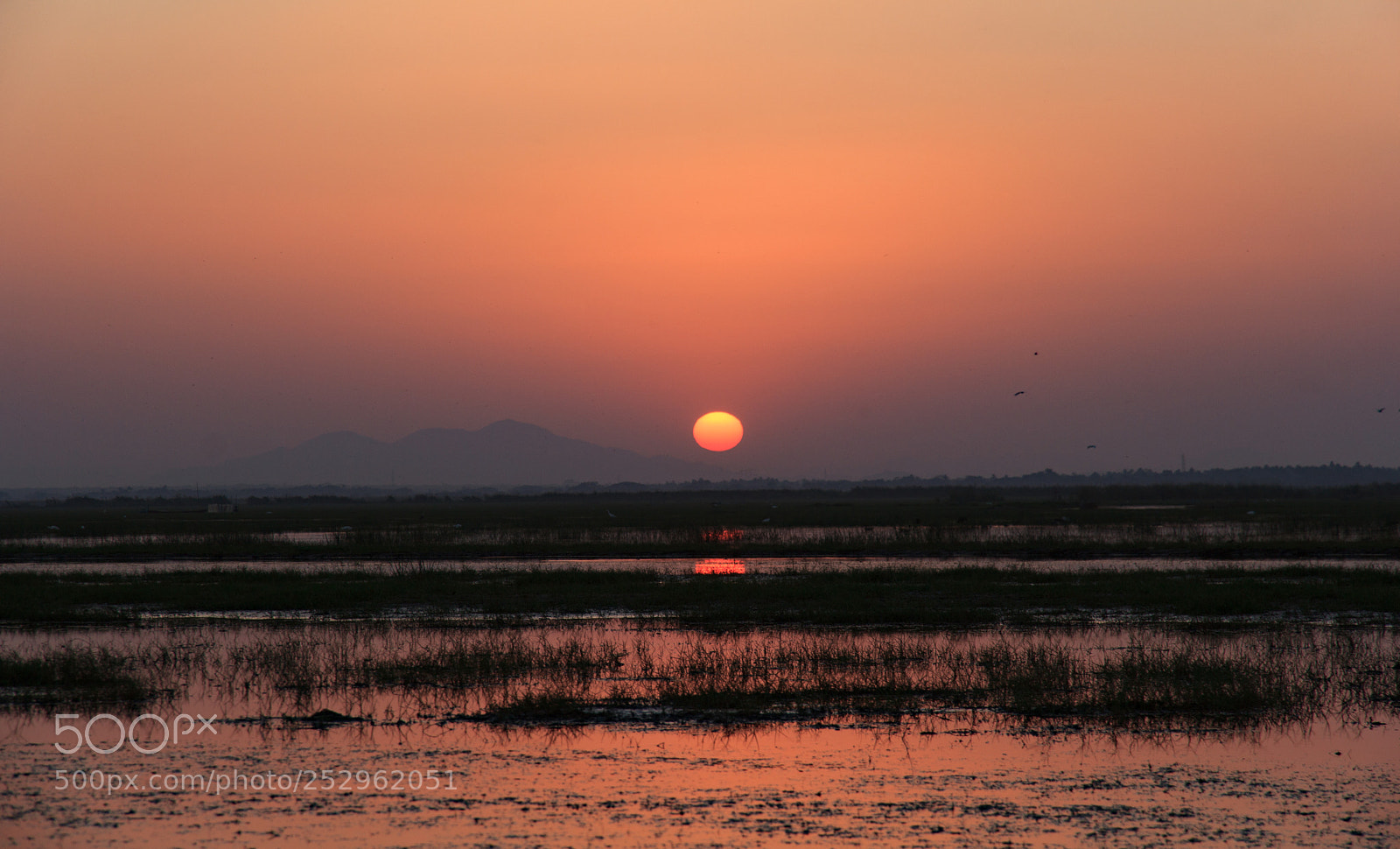 Canon EOS 60D sample photo. Img photography