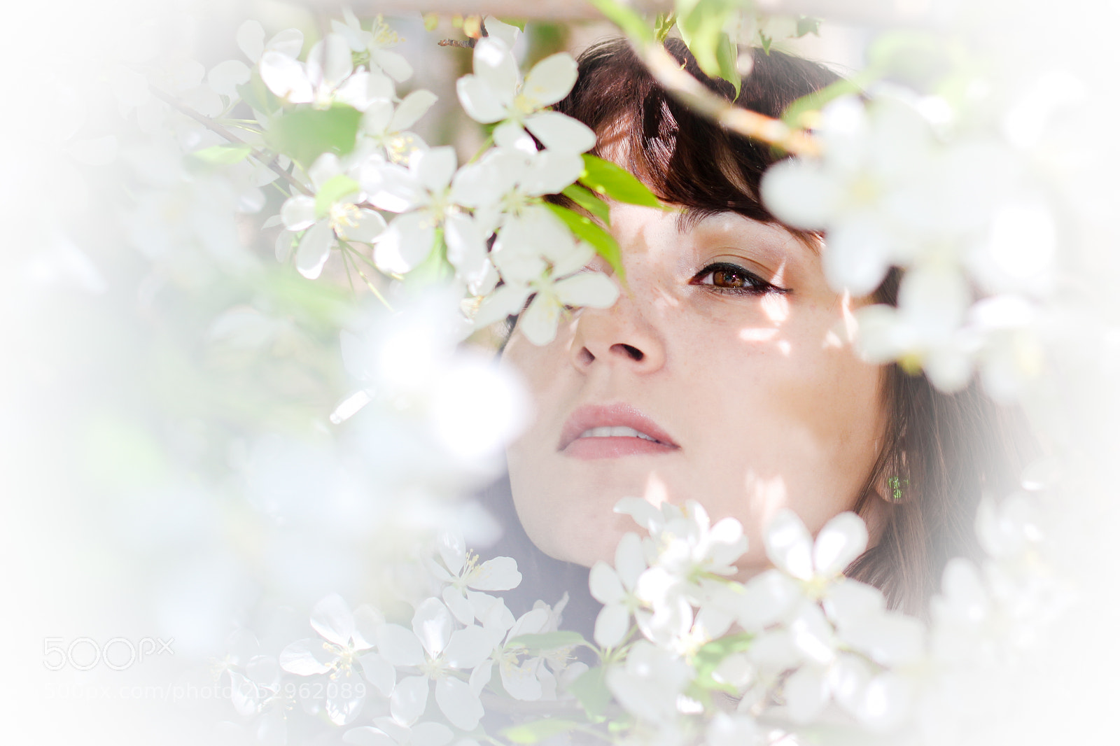 Canon EOS 600D (Rebel EOS T3i / EOS Kiss X5) sample photo. Spring flowering photography
