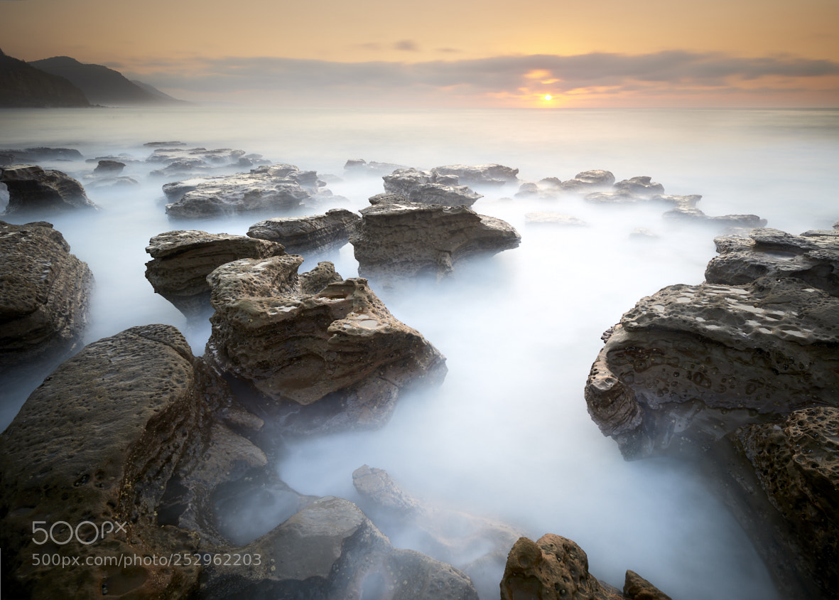 Nikon D810 sample photo. Coalcliff photography