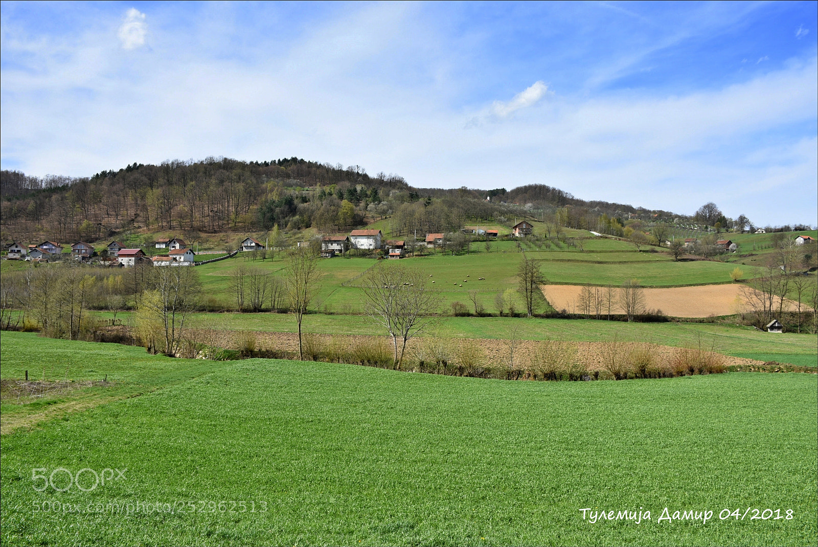 Nikon D7200 sample photo. Untitled photography