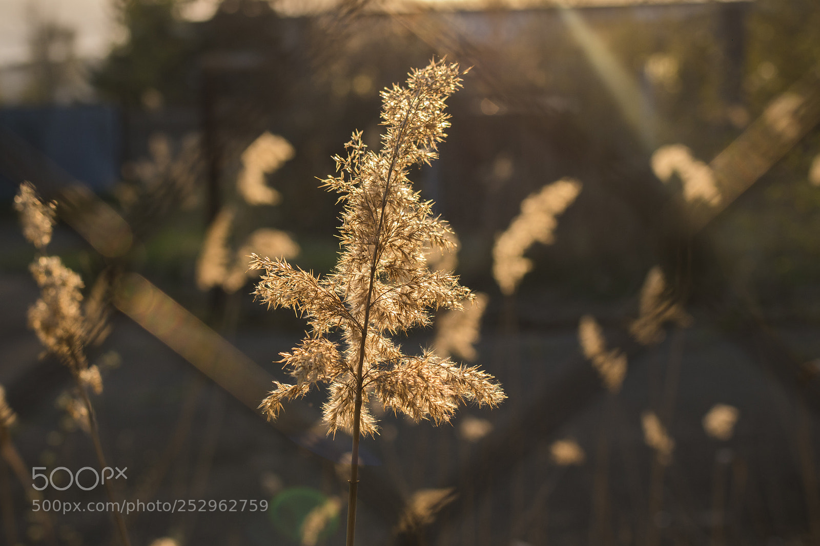 Canon EOS 750D (EOS Rebel T6i / EOS Kiss X8i) sample photo. Chill photography