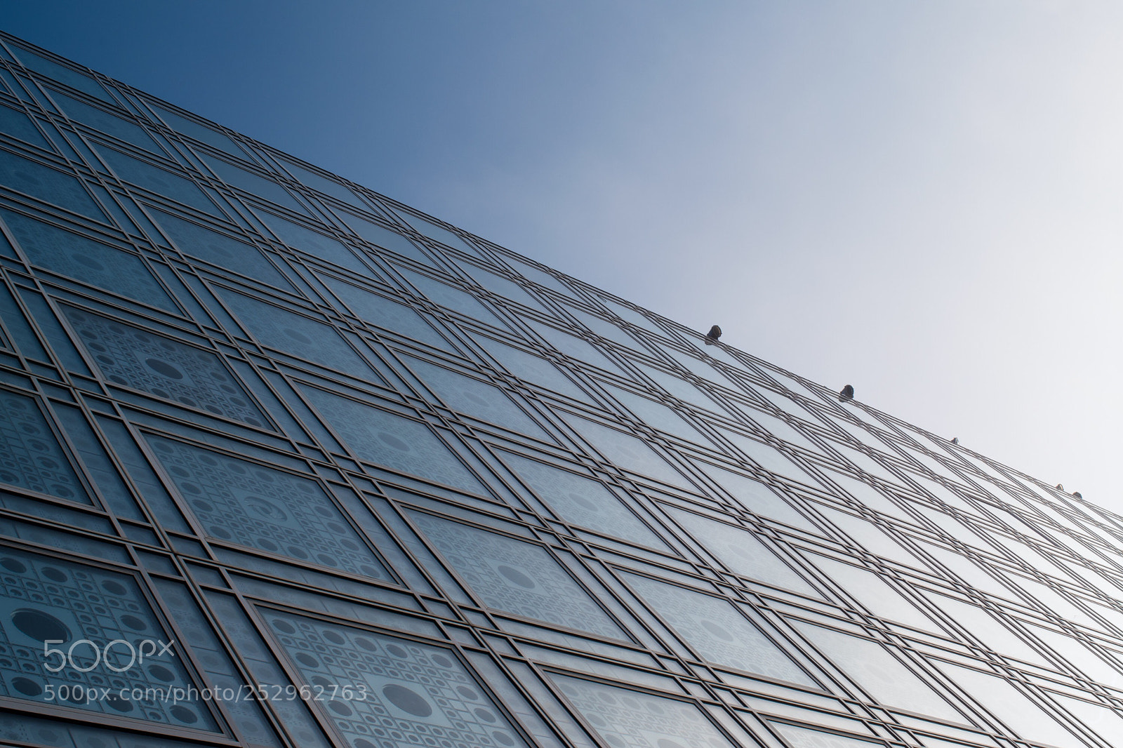 Nikon D5500 sample photo. Intersection & circle photography