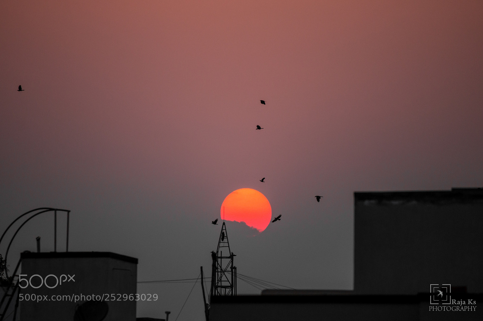 Canon EOS 70D sample photo. Summer sunset photography