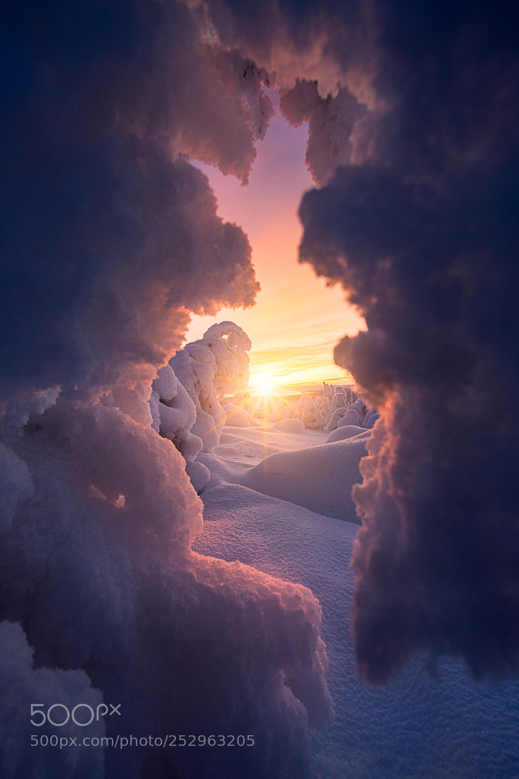 Canon EOS 6D Mark II sample photo. Of ice and sun photography