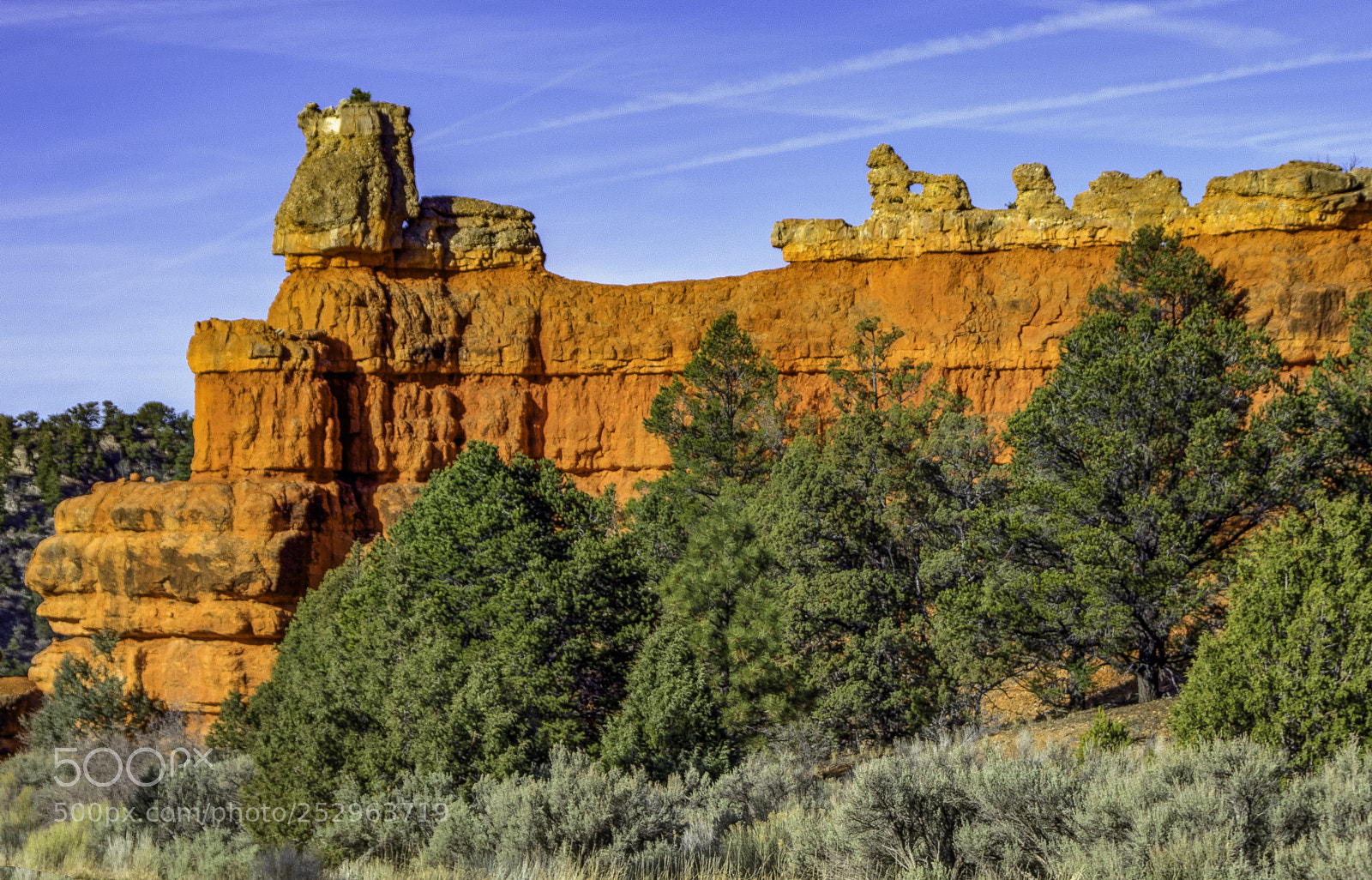 Nikon D7200 sample photo. The hoodoos of bryce photography