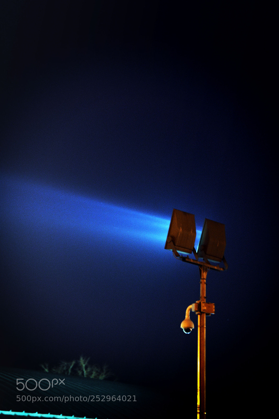 Nikon D7200 sample photo. Torchlit photography