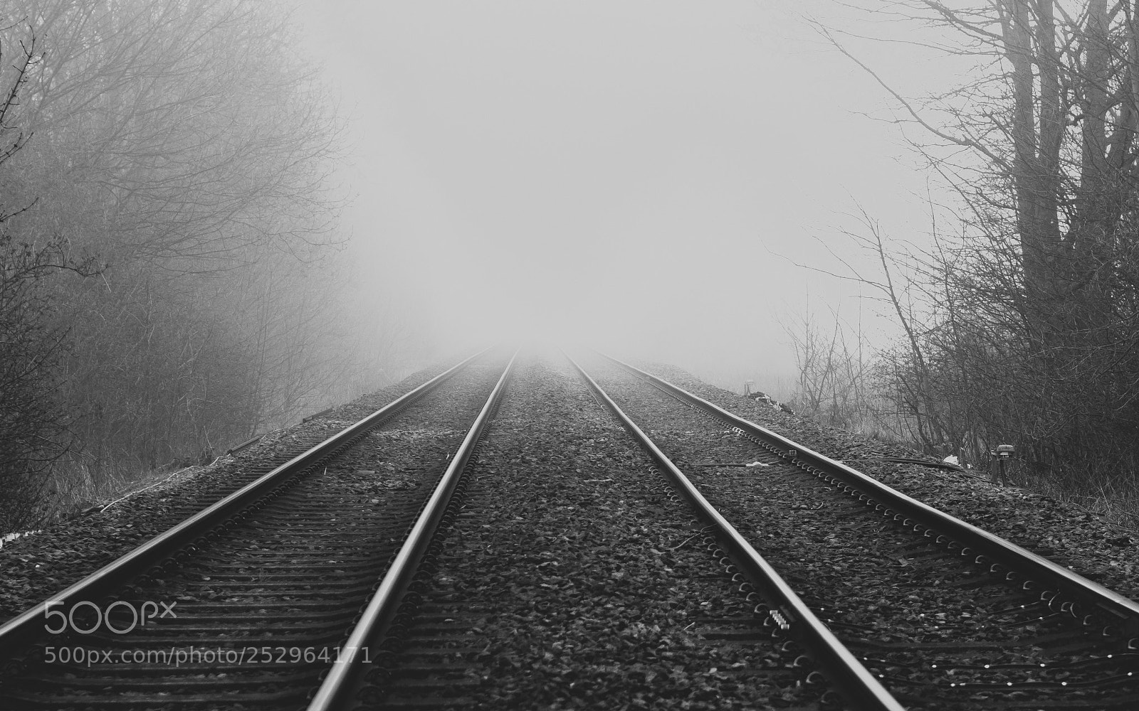 Olympus OM-D E-M10 II sample photo. Train tracks photography