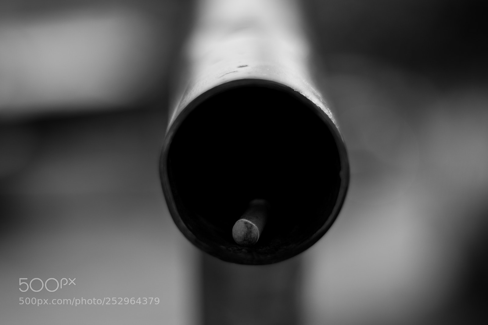 Nikon D3400 sample photo. Hiding photography