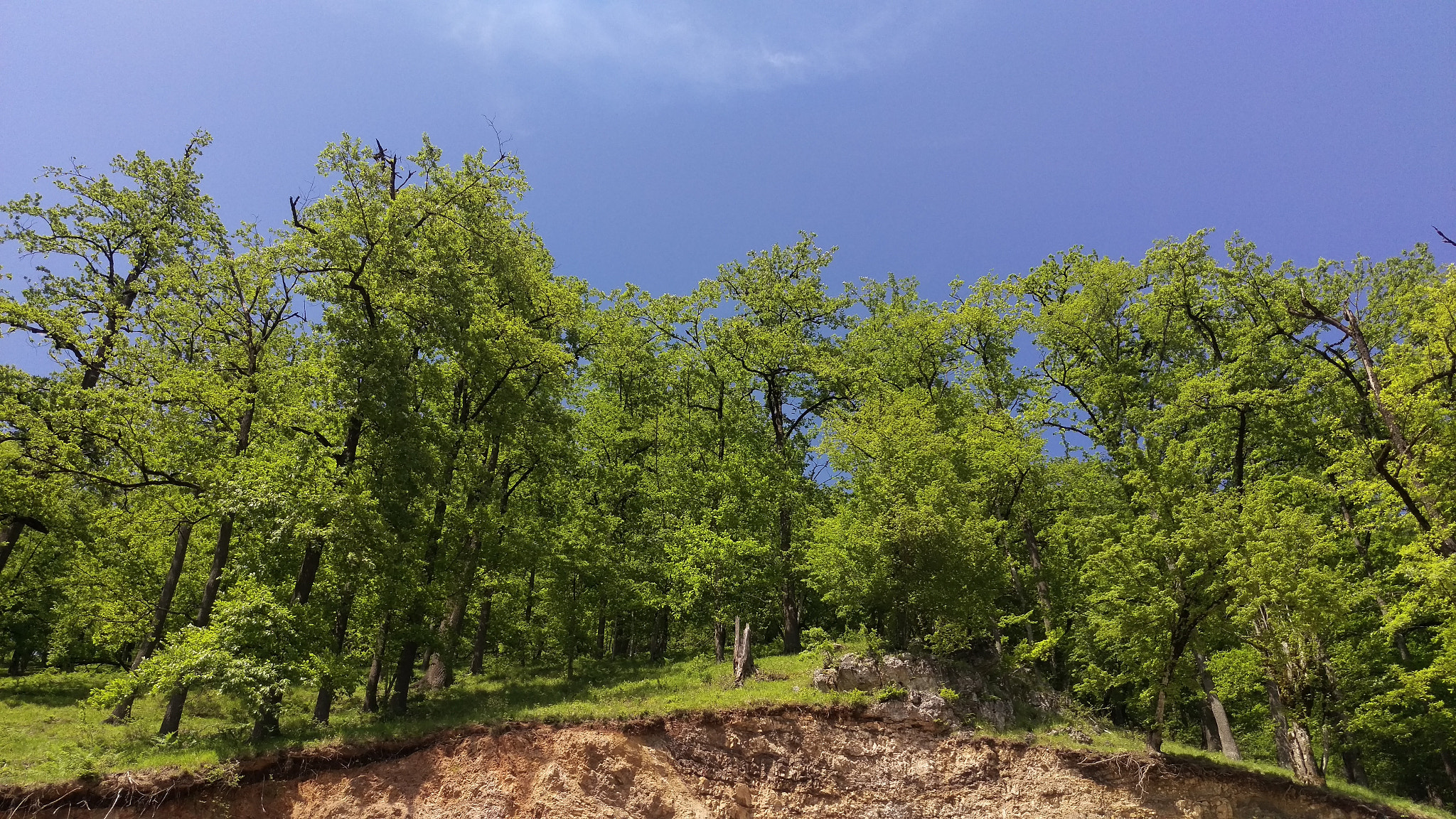 HTC ONE M9 sample photo. Still standing photography