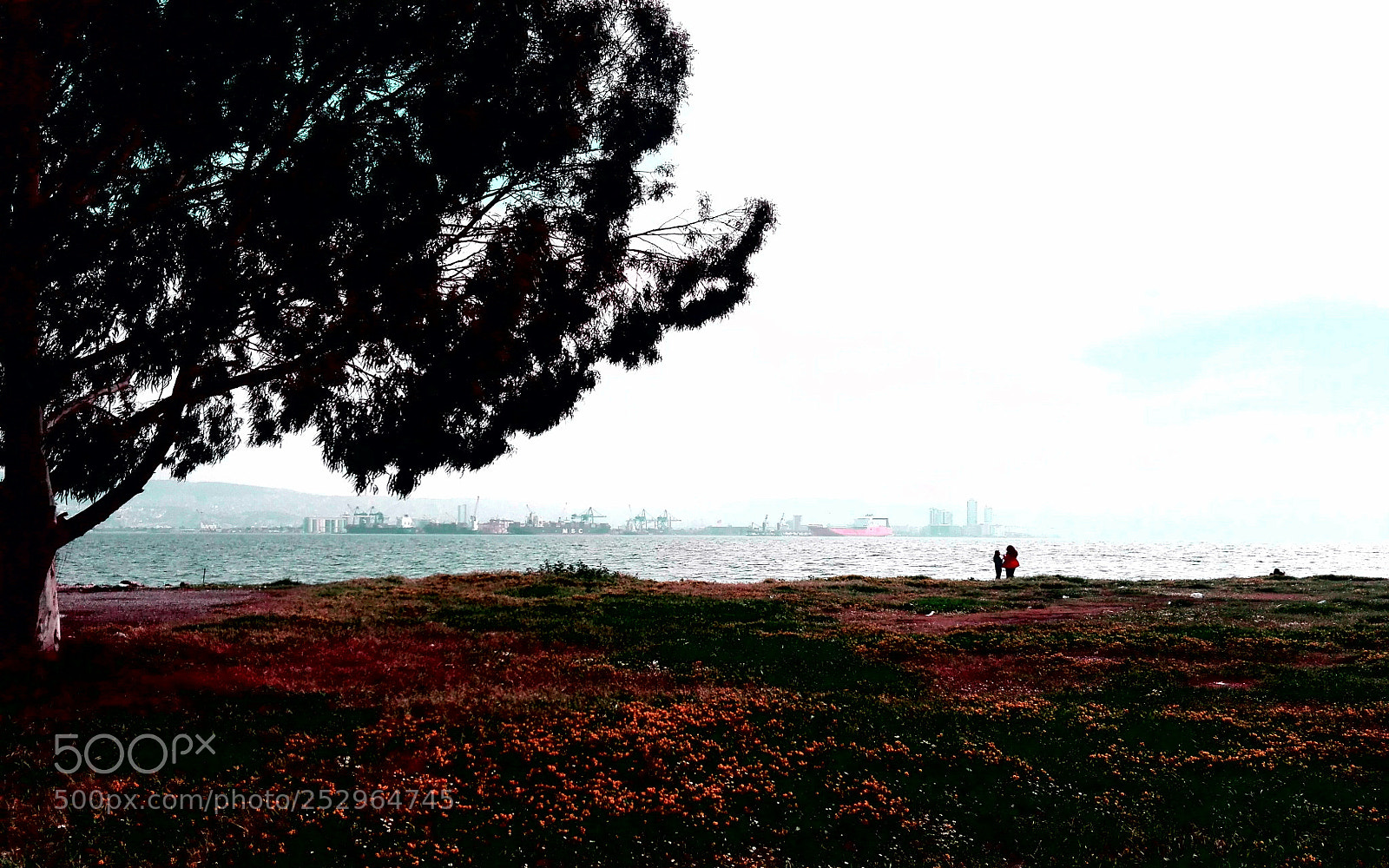 HUAWEI P8 Lite sample photo. Untitled photography