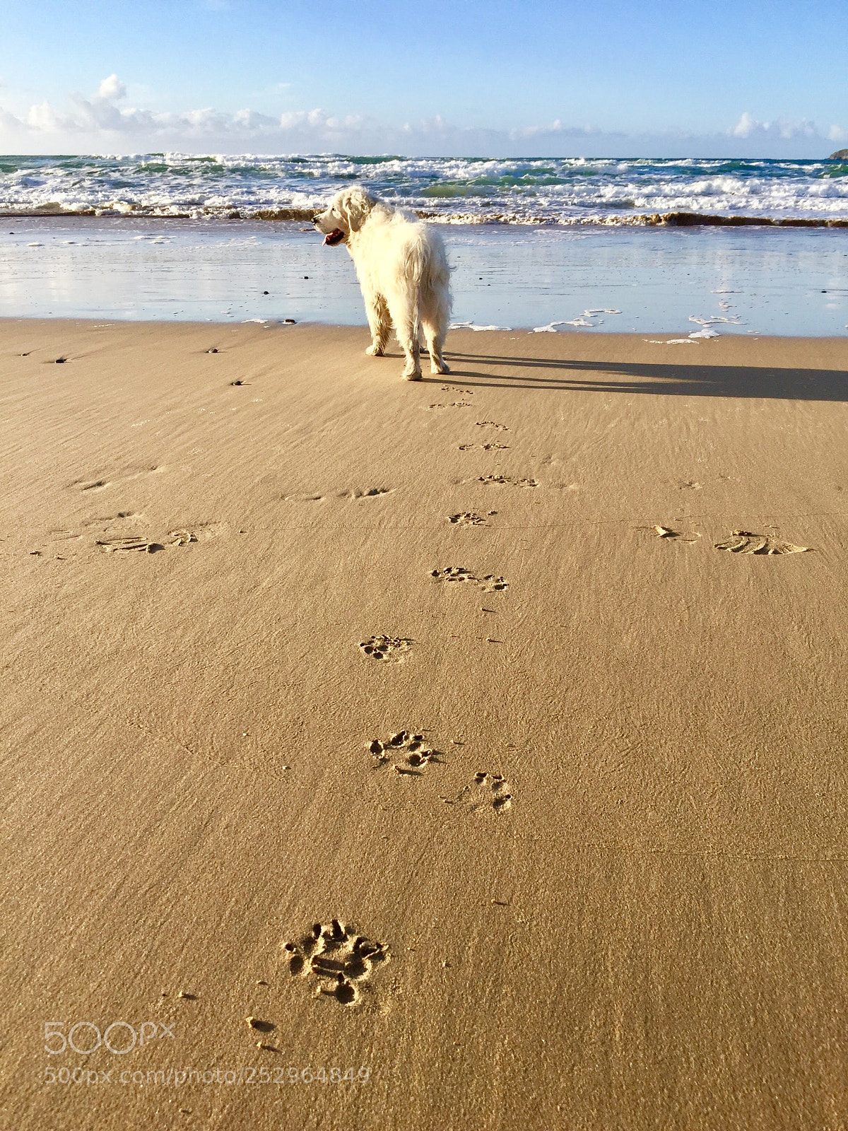 Apple iPhone 6 sample photo. Jack loved the beautiful photography