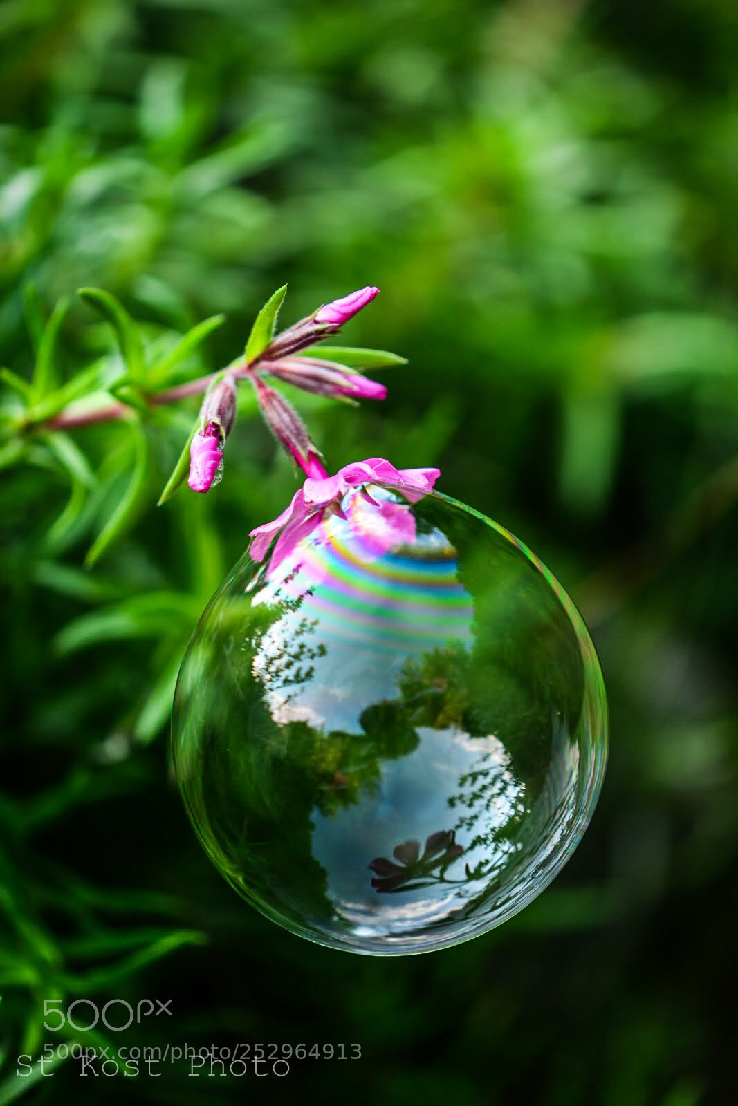Nikon D5200 sample photo. Bubble trouble photography