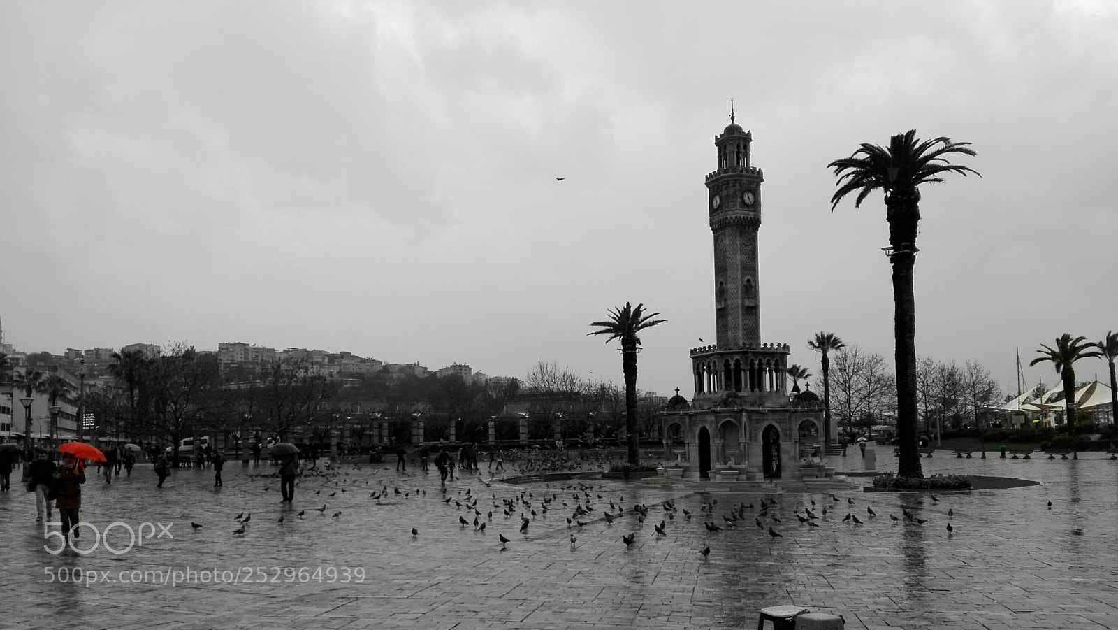 HUAWEI P8 Lite sample photo. Untitled photography
