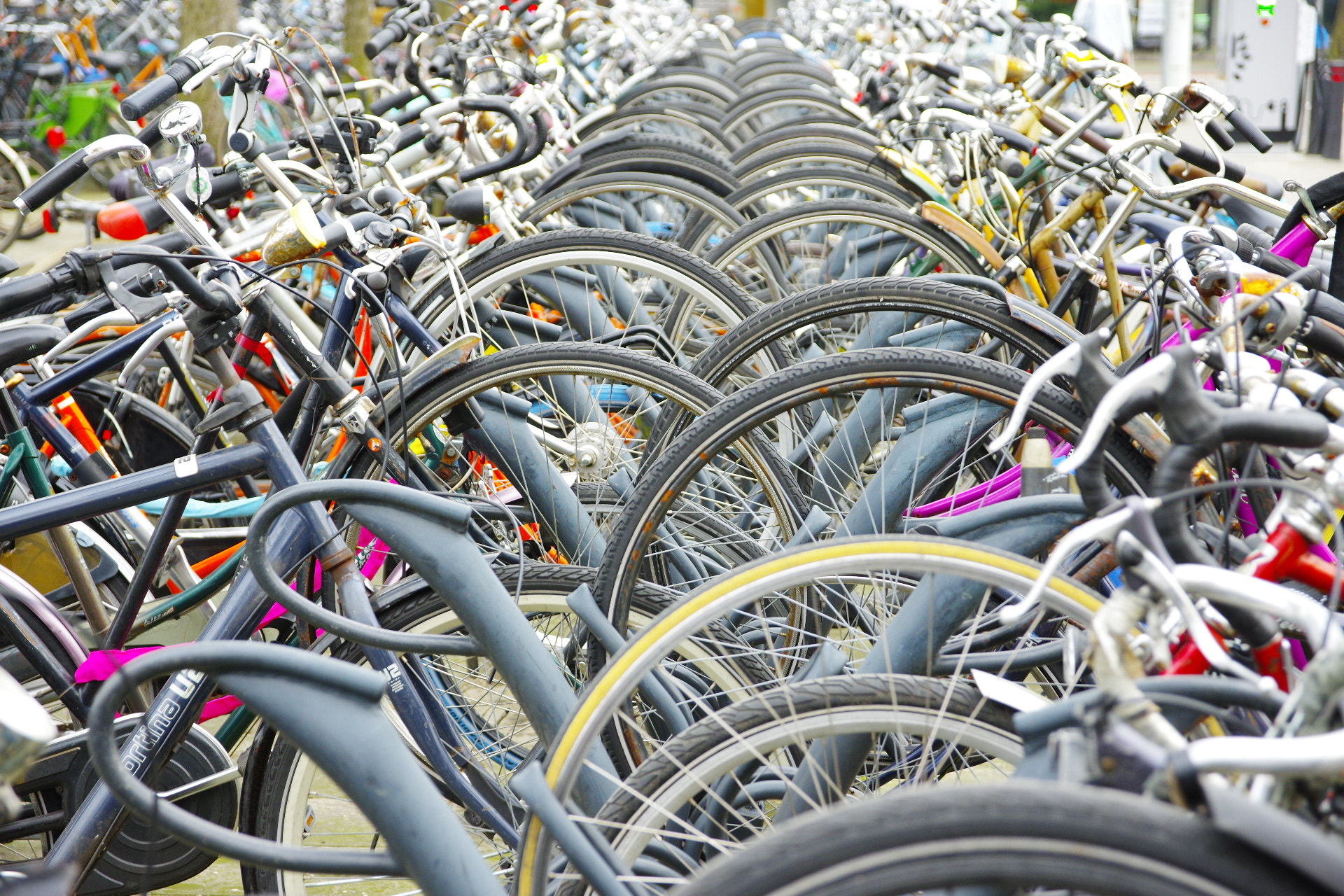 Sigma 17-70mm F2.8-4 DC Macro HSM | C sample photo. Bicycles photography