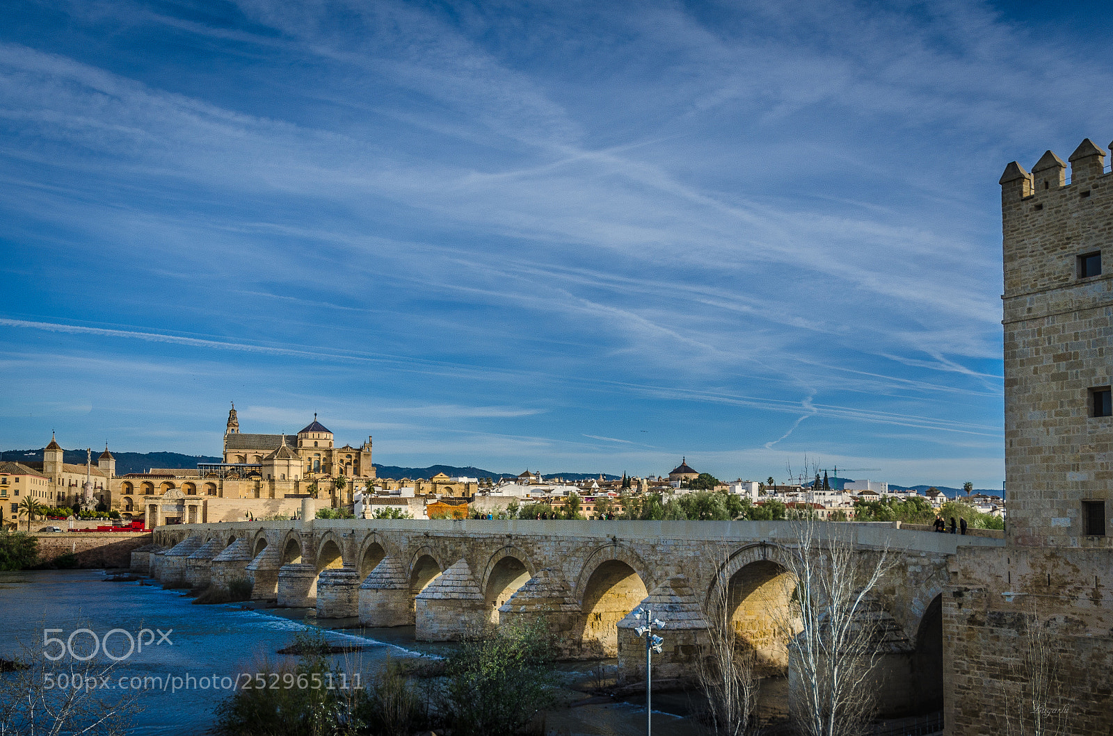 Nikon D7000 sample photo. Puente romano de cordoba photography