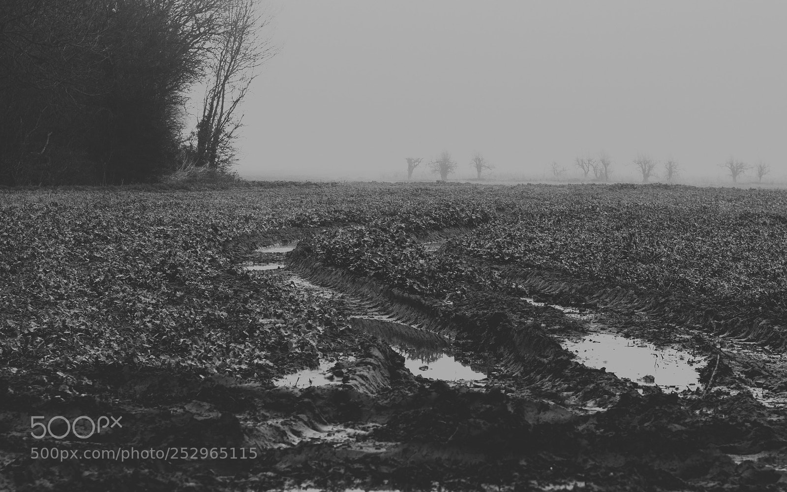Olympus OM-D E-M10 II sample photo. Tractor tracks photography