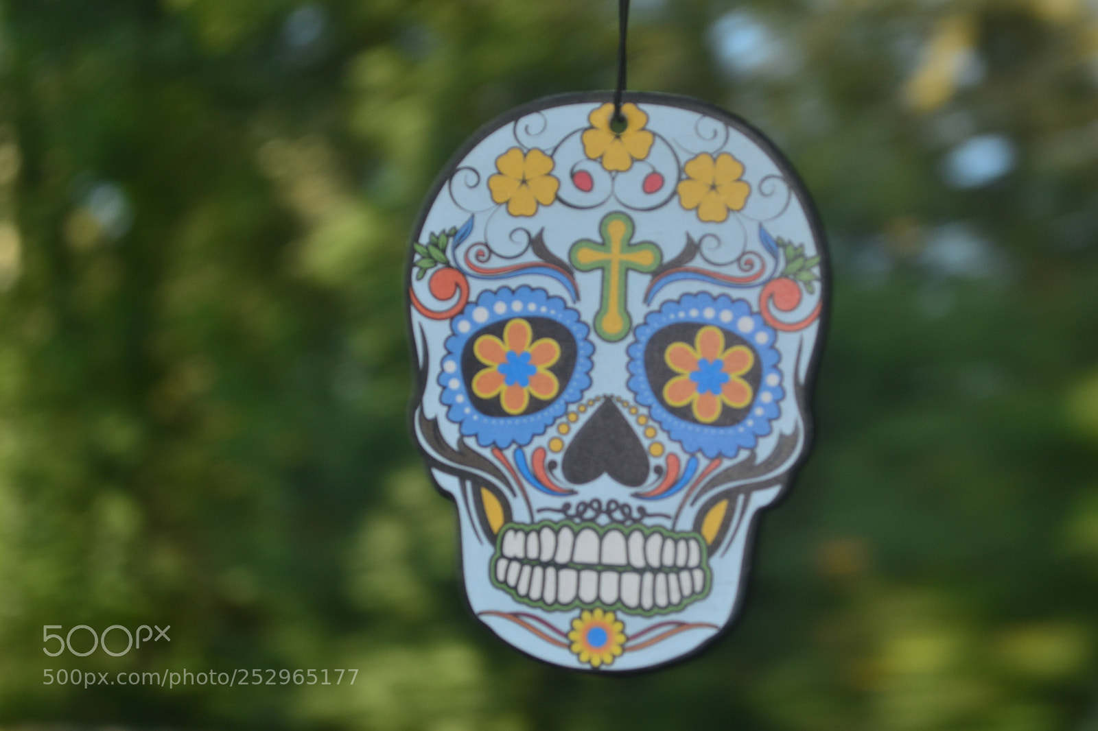 Nikon D3100 sample photo. Watching over you. photography