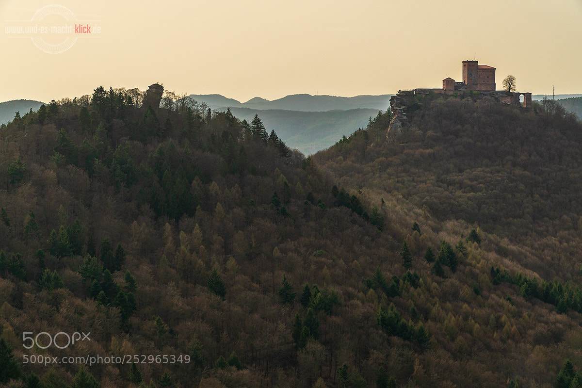 Sony a6500 sample photo. Trifels photography
