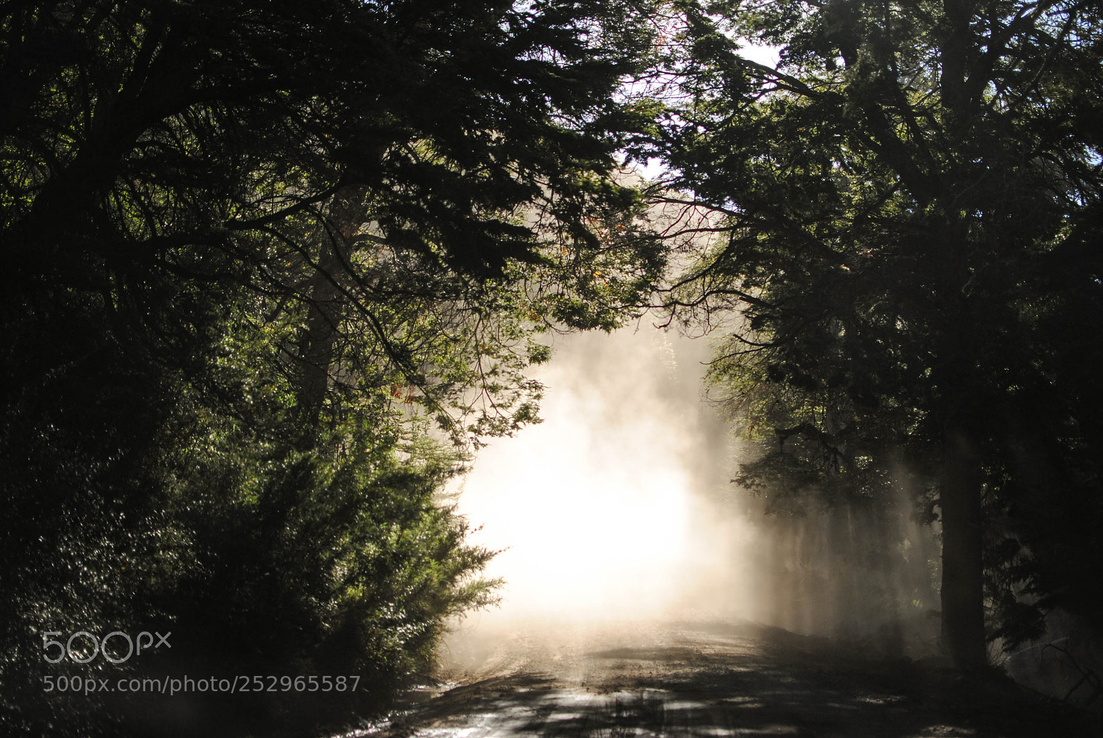 Nikon D3000 sample photo. Nature photography