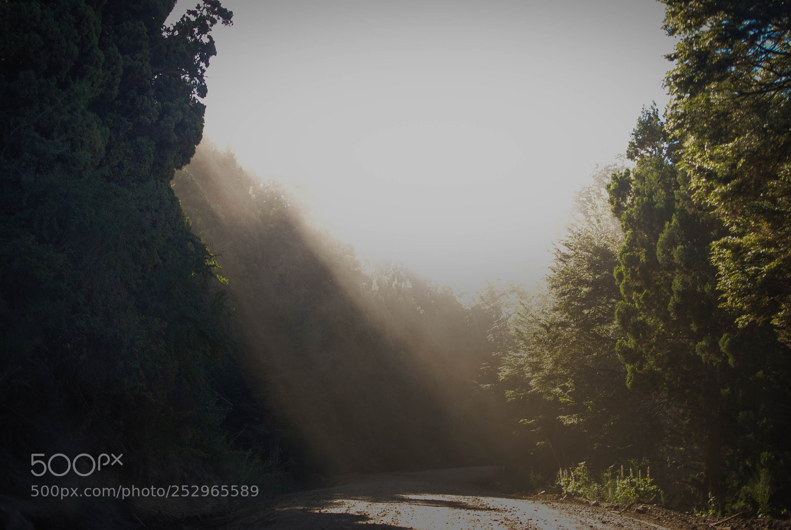Nikon D3000 sample photo. Nature photography
