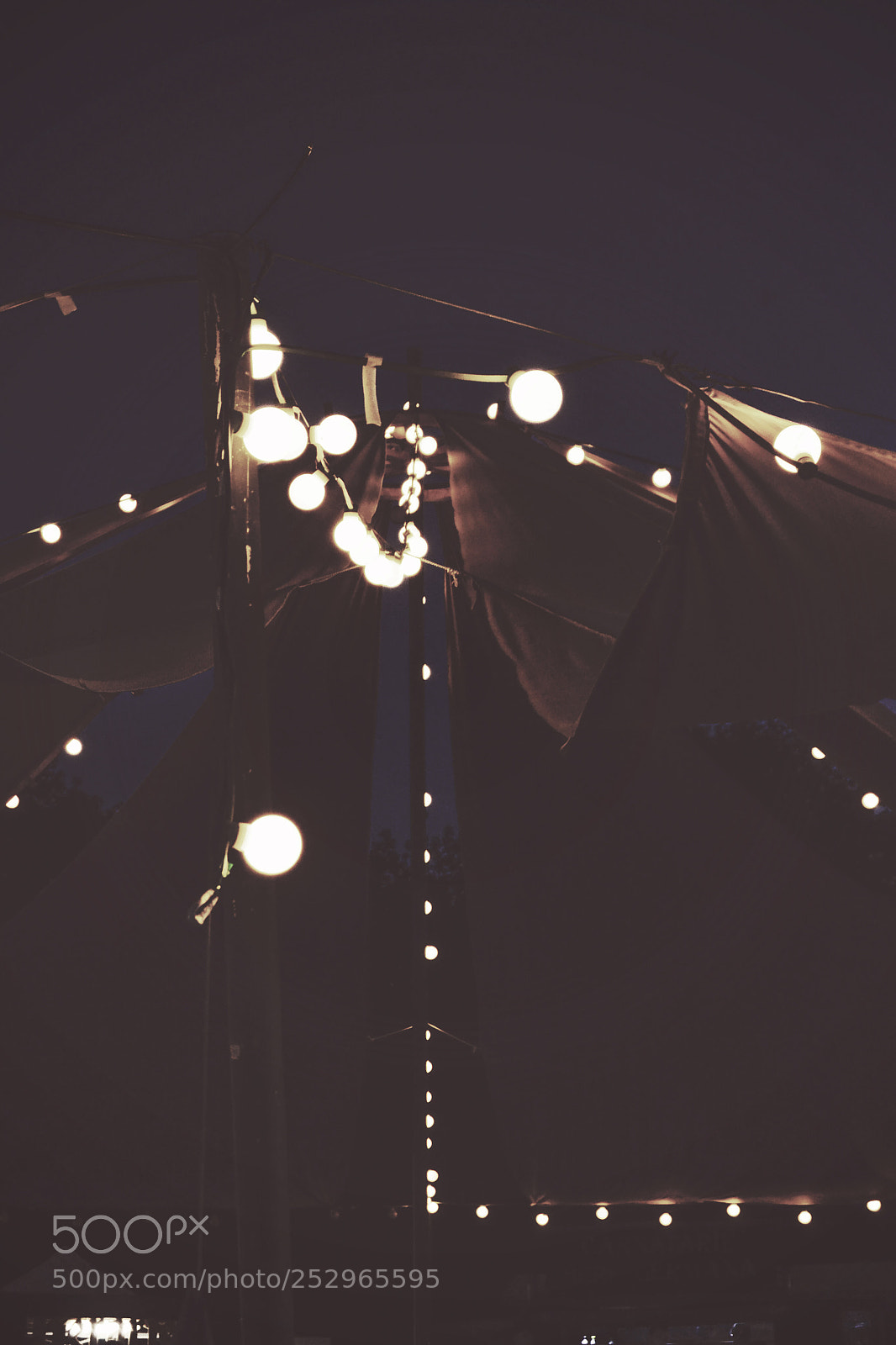 Nikon D3100 sample photo. Beautiful night lights photography