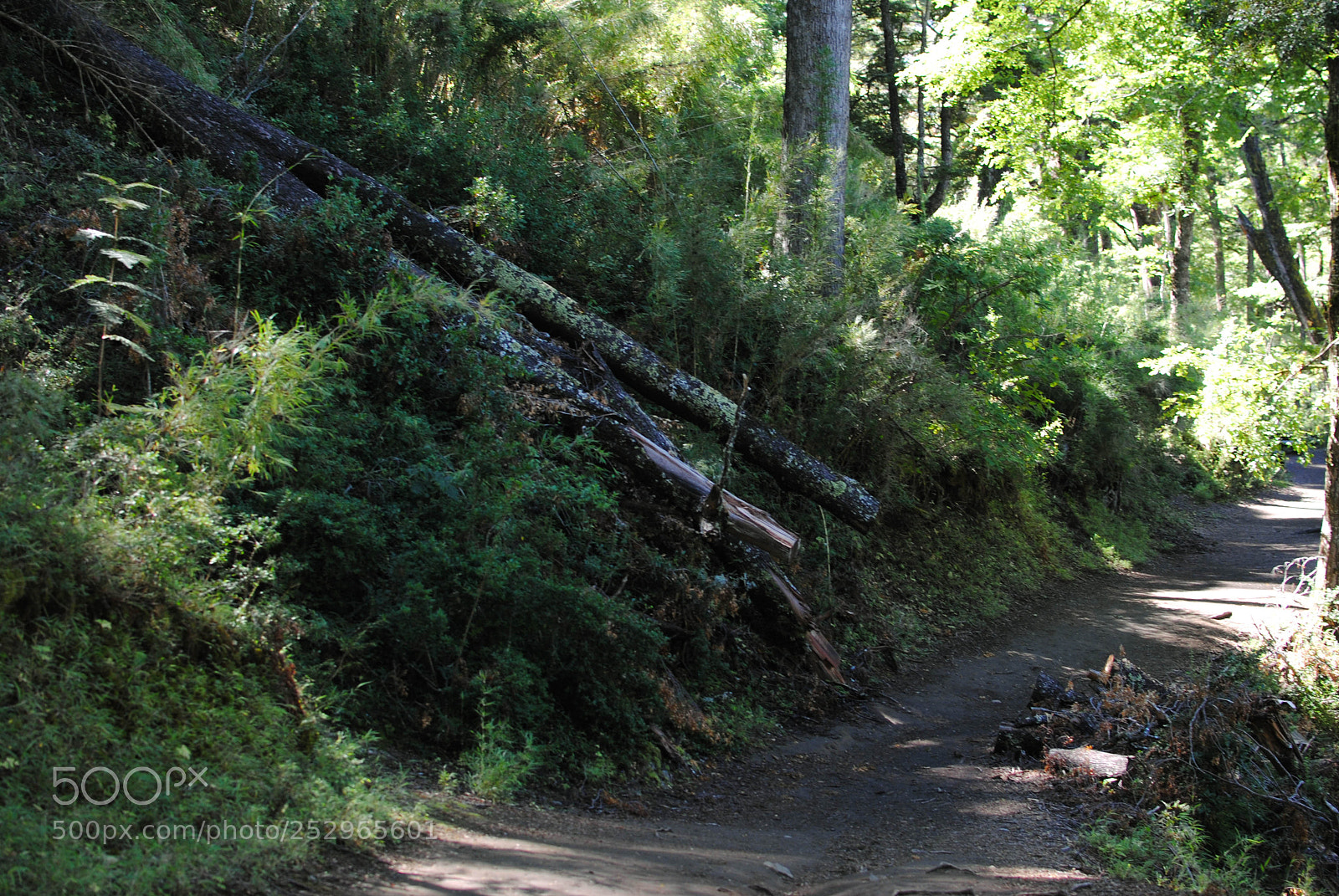 Nikon D3000 sample photo. Nature photography