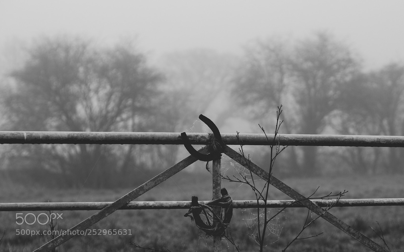 Olympus OM-D E-M10 II sample photo. Horseshoe on a gate photography