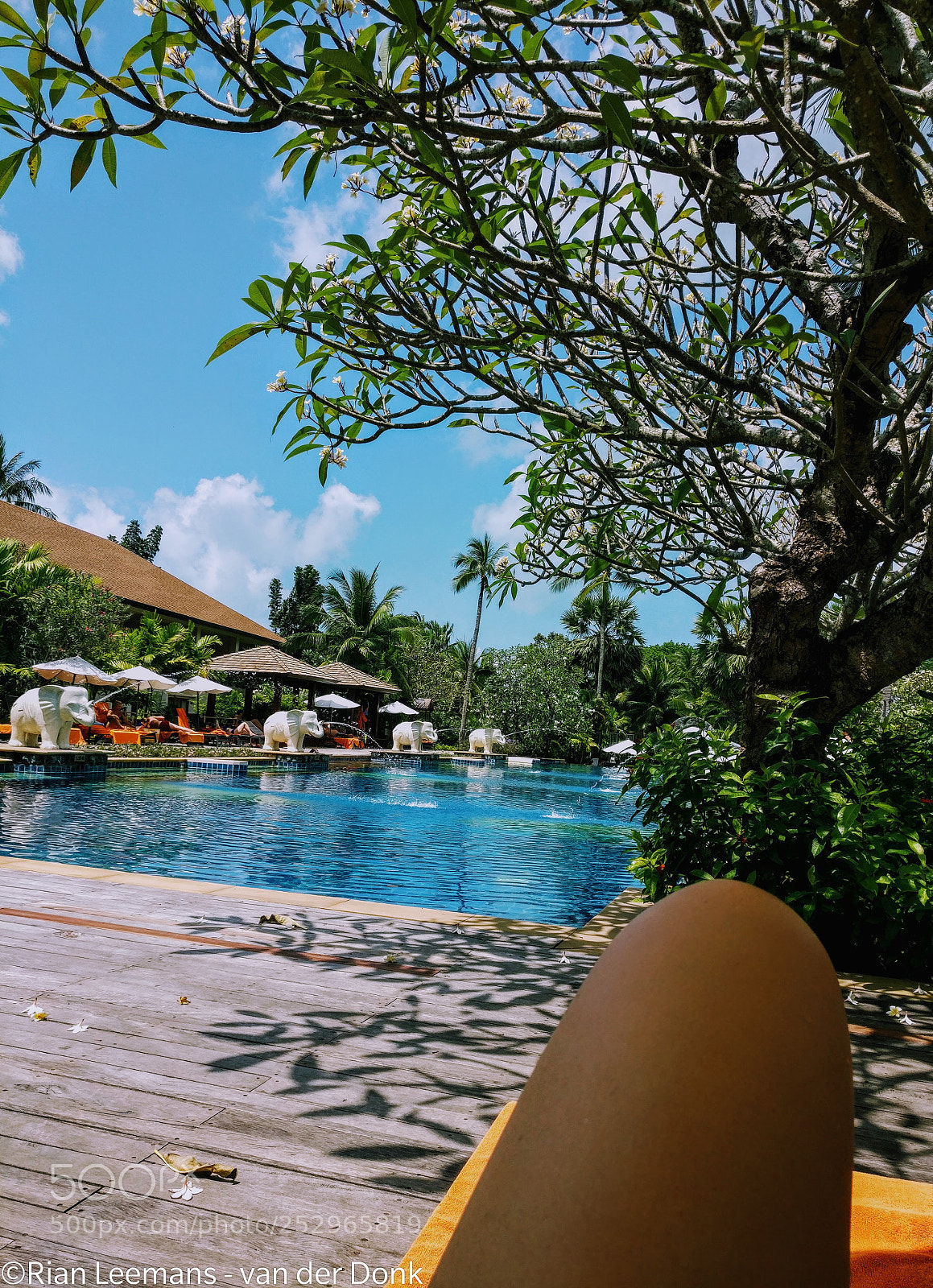 OnePlus A3003 sample photo. Pool time photography